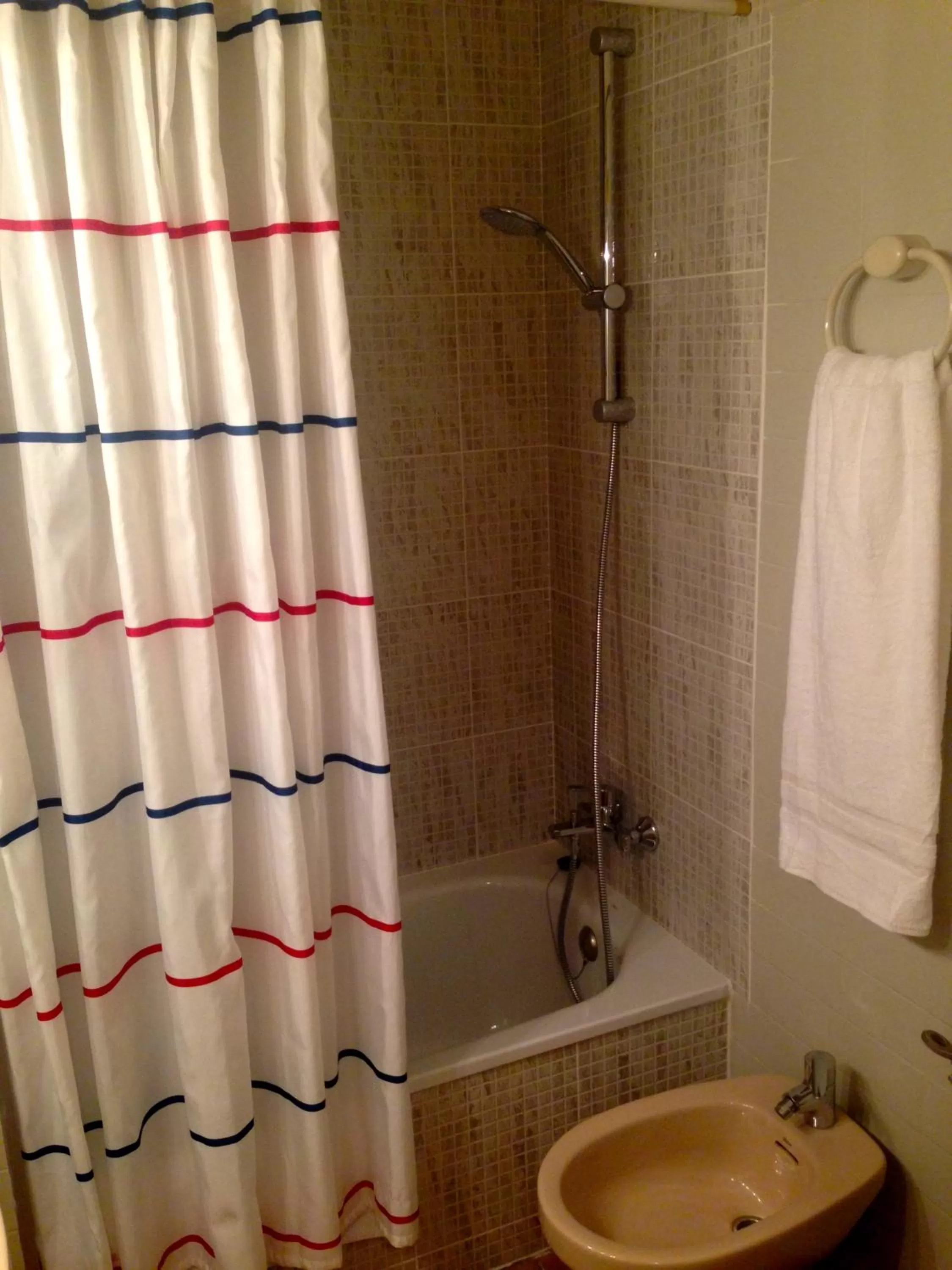 Shower in Hotel Pelayo