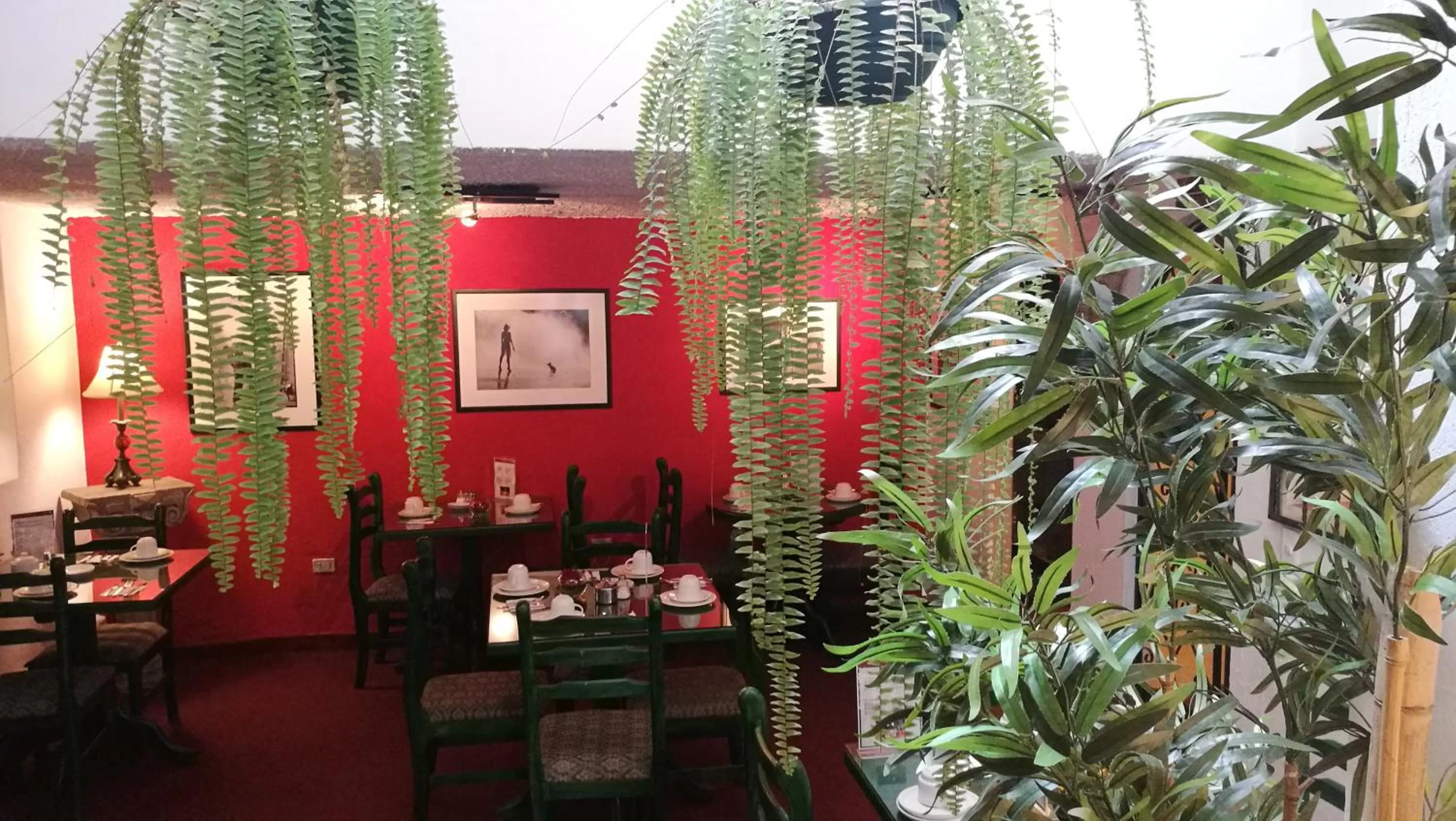 Restaurant/places to eat in Boutique Hotel Antinea