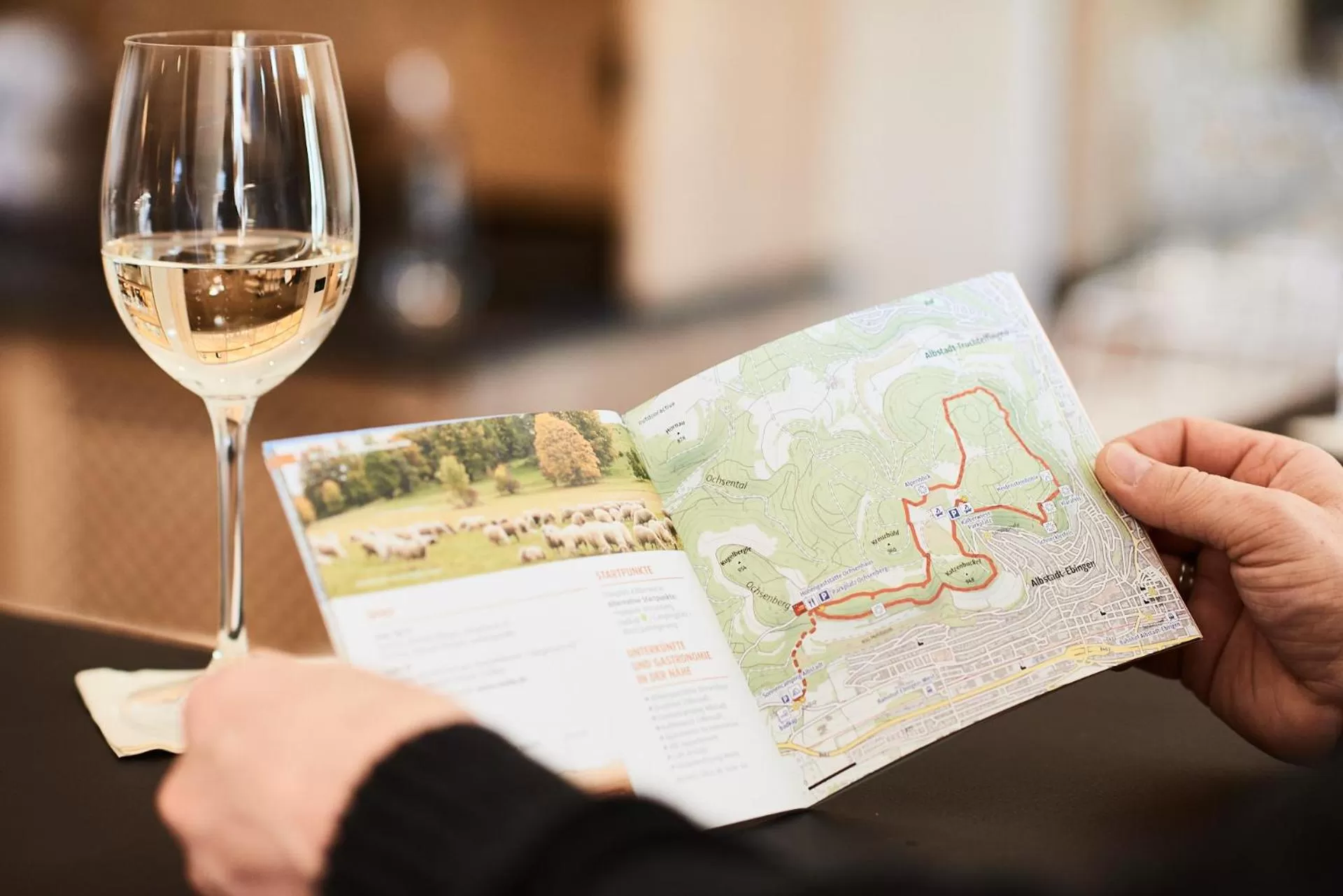 Activities in Gasthof Linde