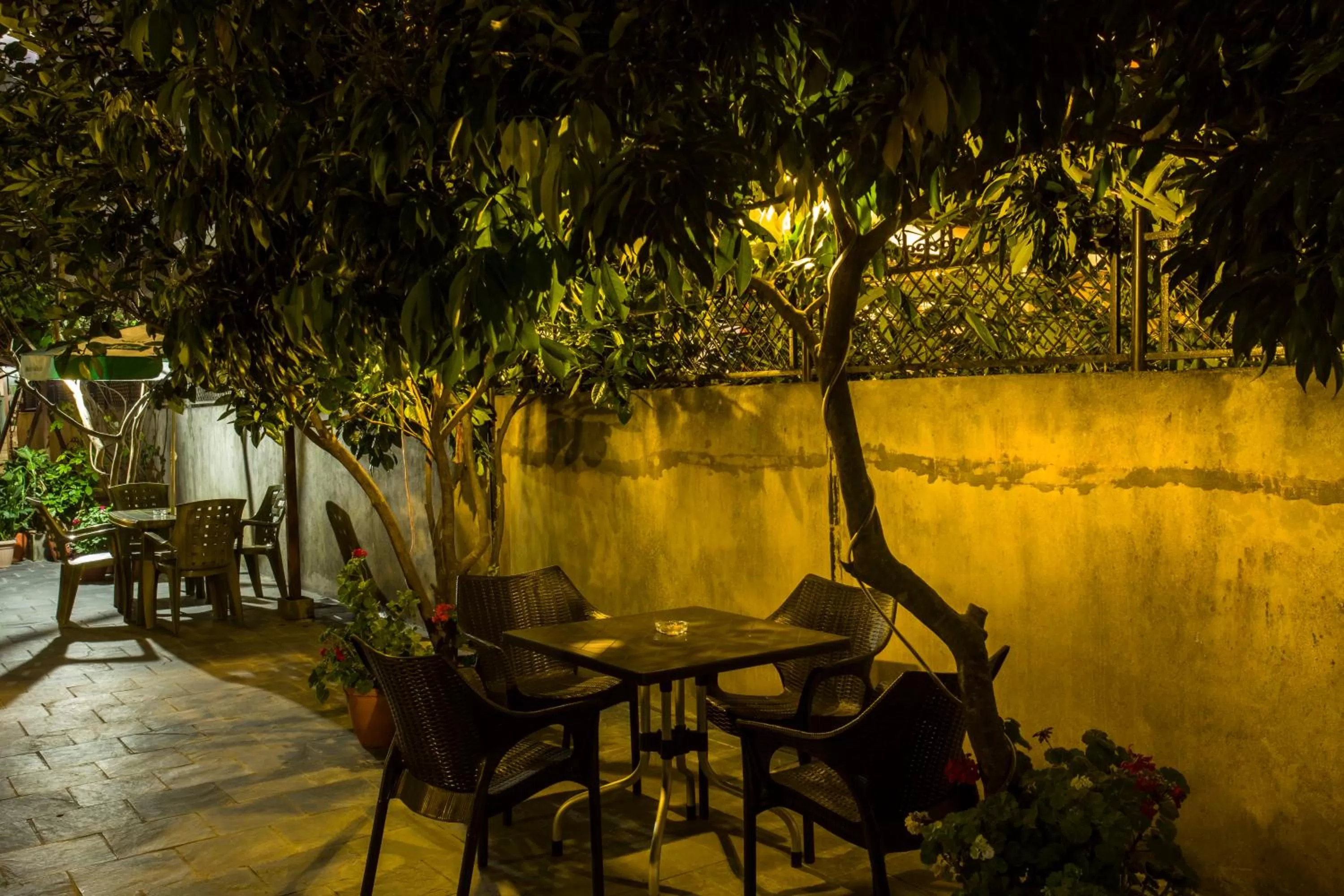 Garden in The North Face Inn