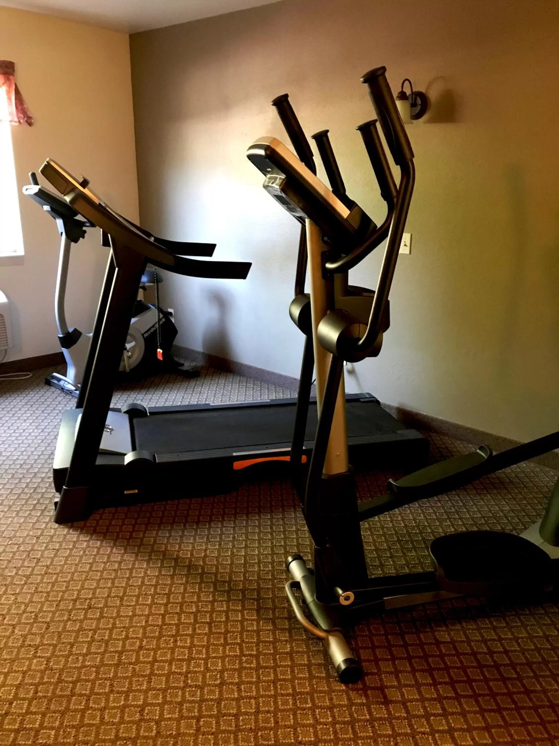 Fitness centre/facilities in FairBridge Inn & Suites Kellogg