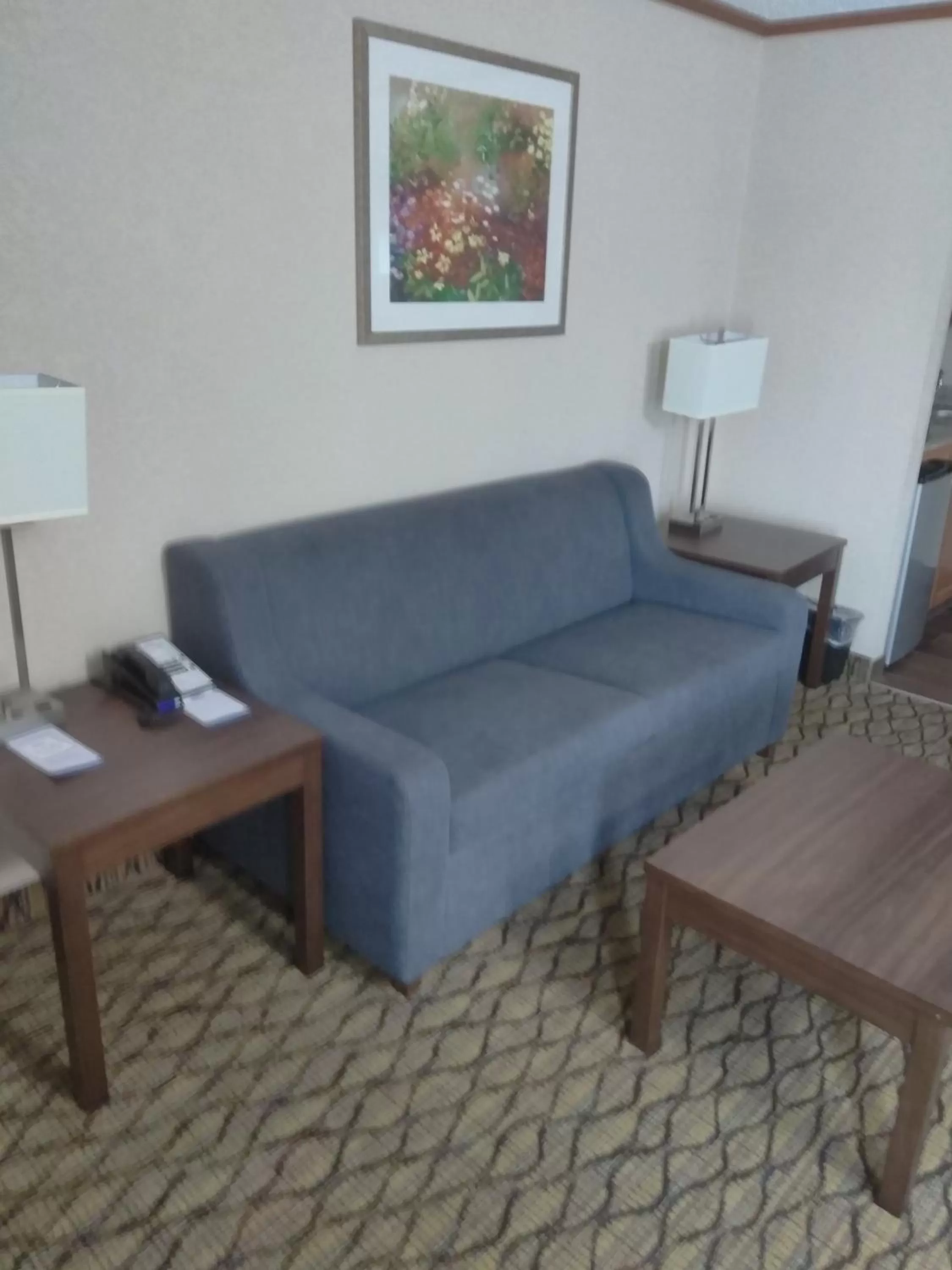 Living room in Baymont by Wyndham Madison Heights Detroit Area