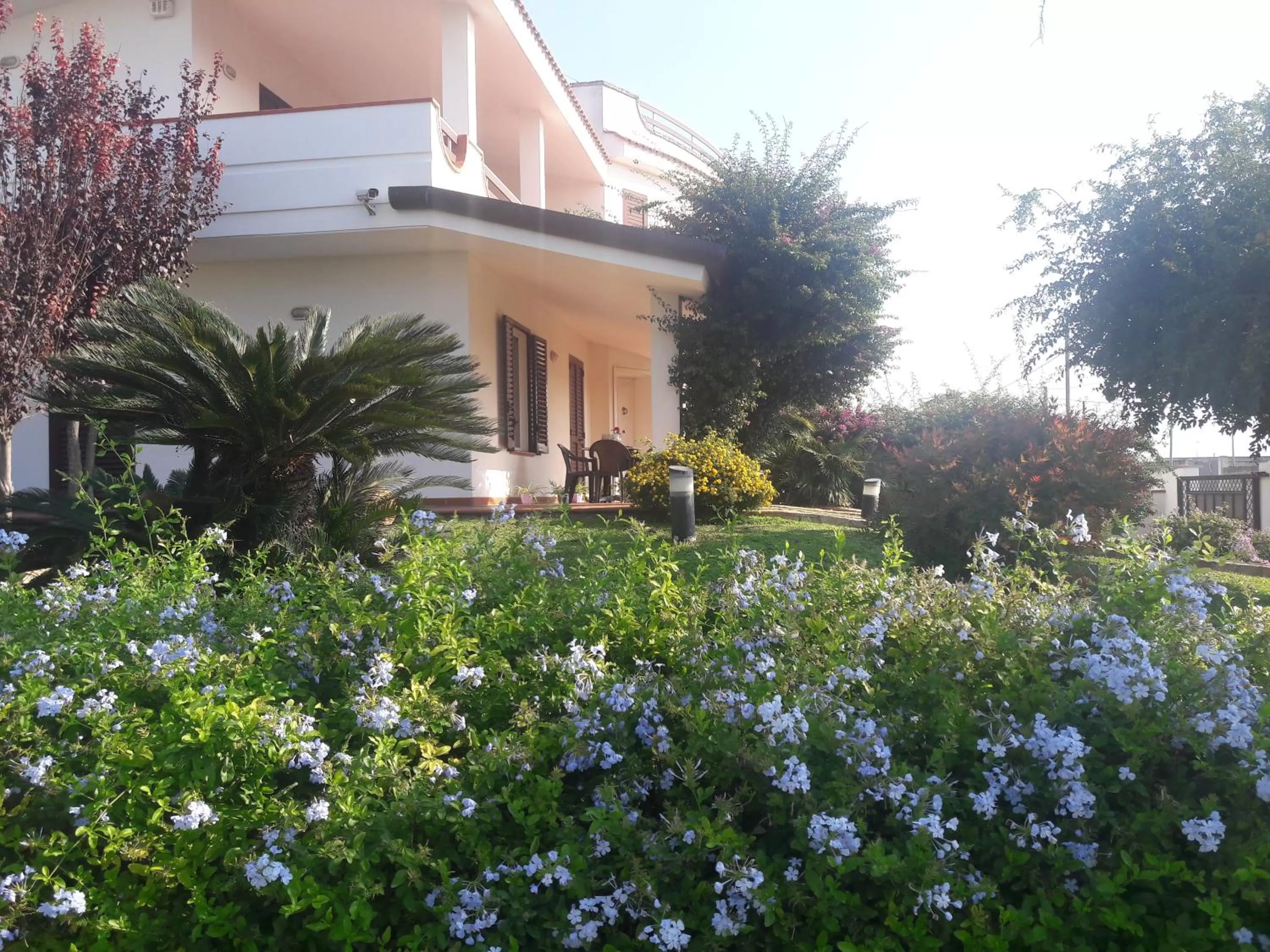 Property Building in Le Schiavelle