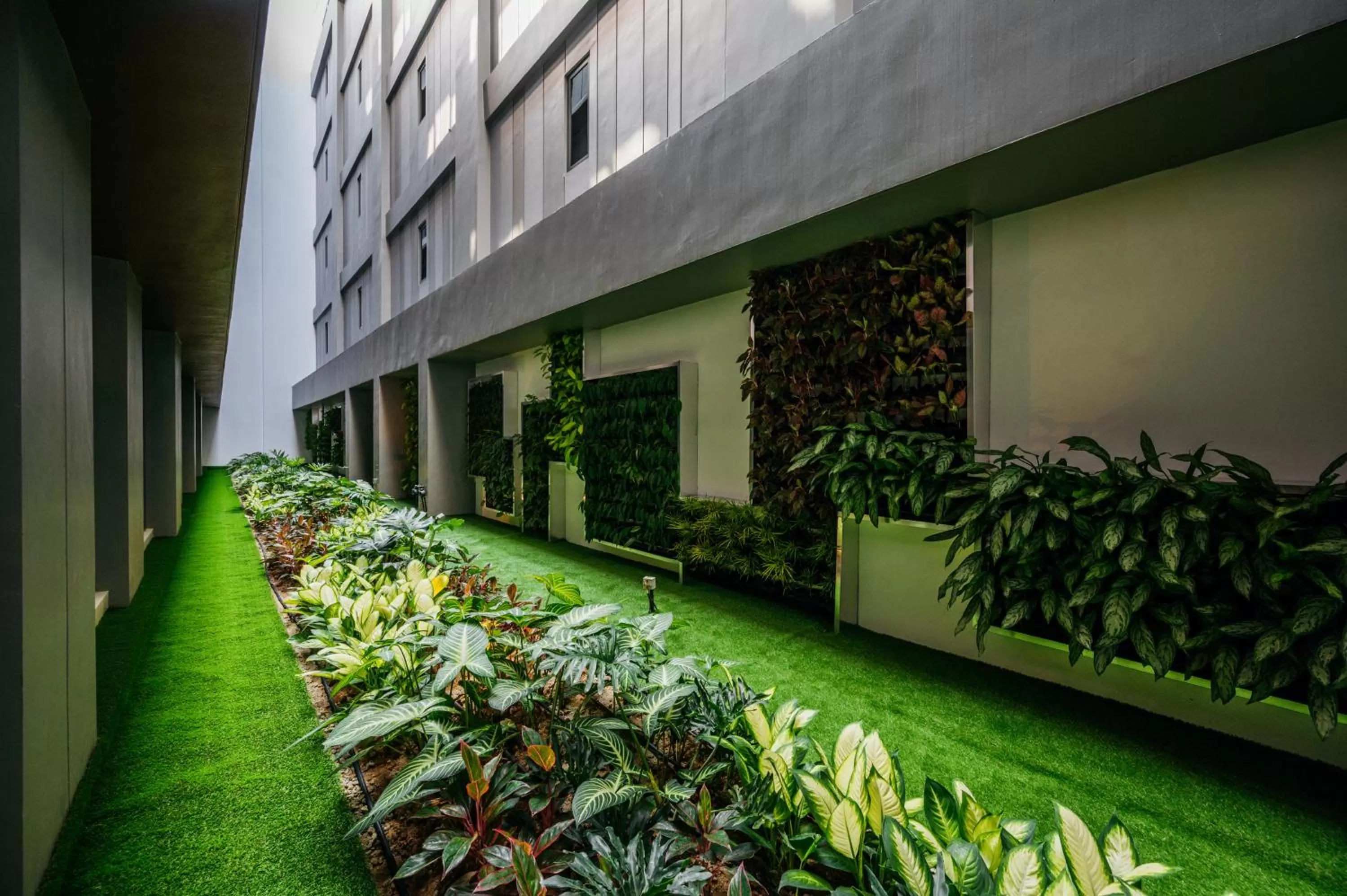 Garden view in Mercure Singapore Tyrwhitt