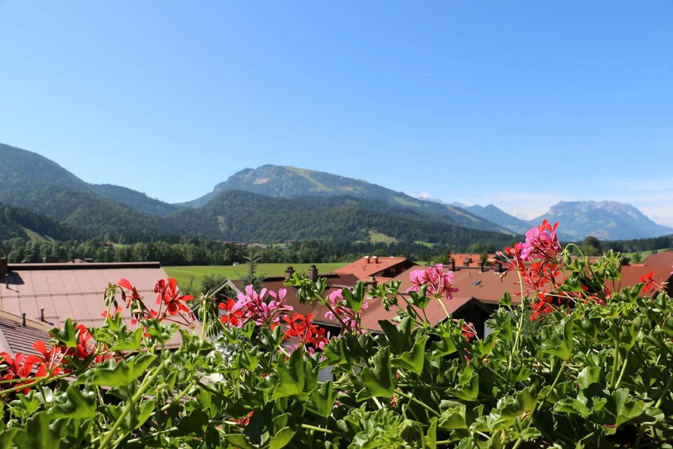 Spring in Hotel Sonnleiten