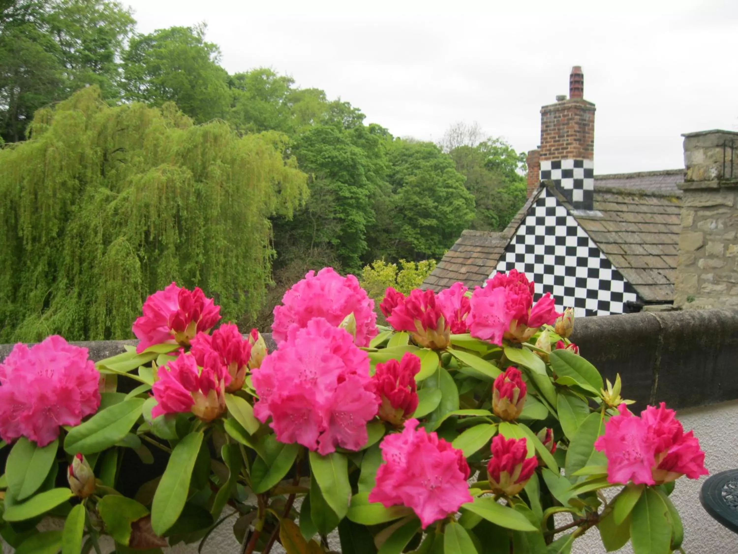 On site in Teardrop Cottage