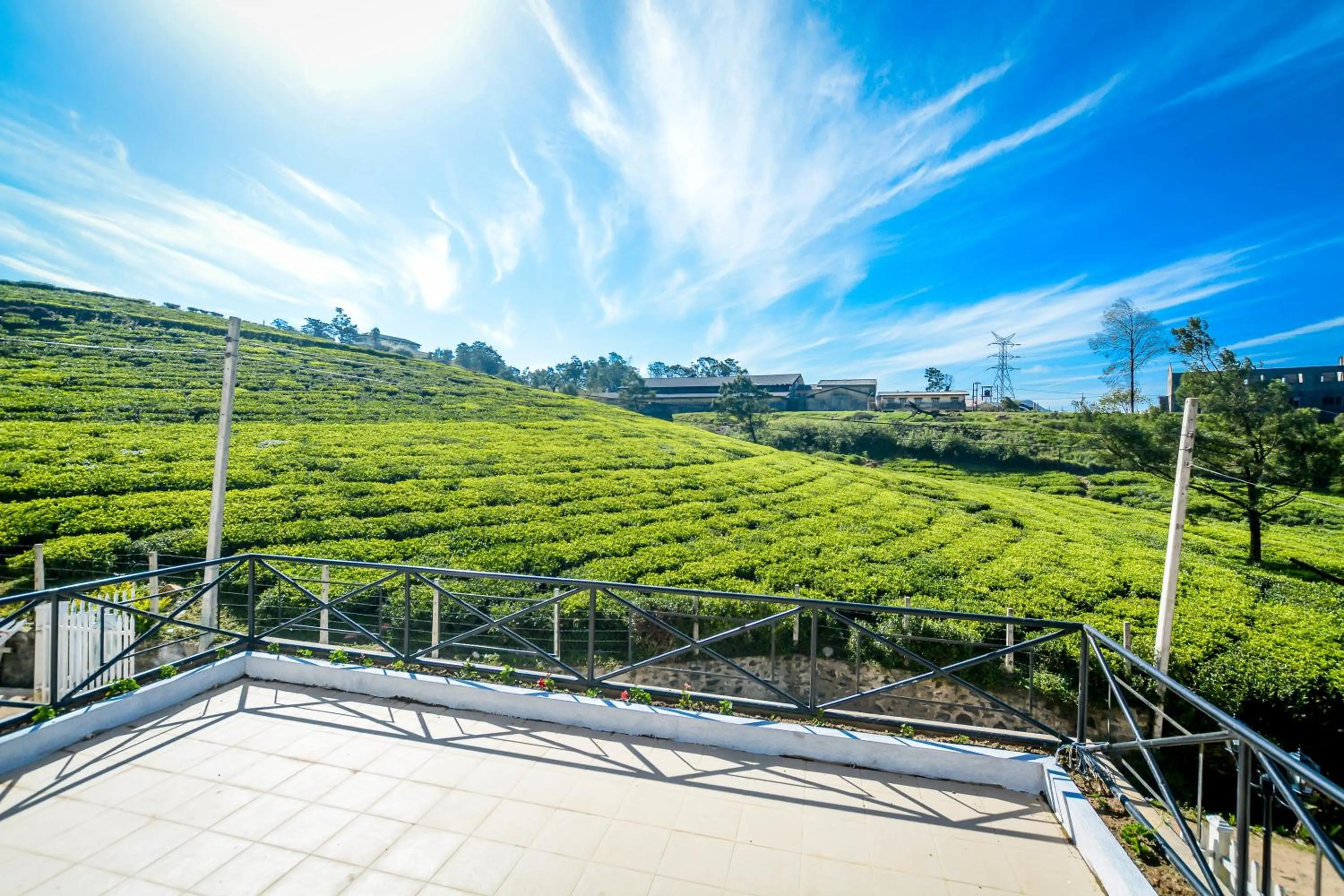 Decorative detail in Villa Tea Fields