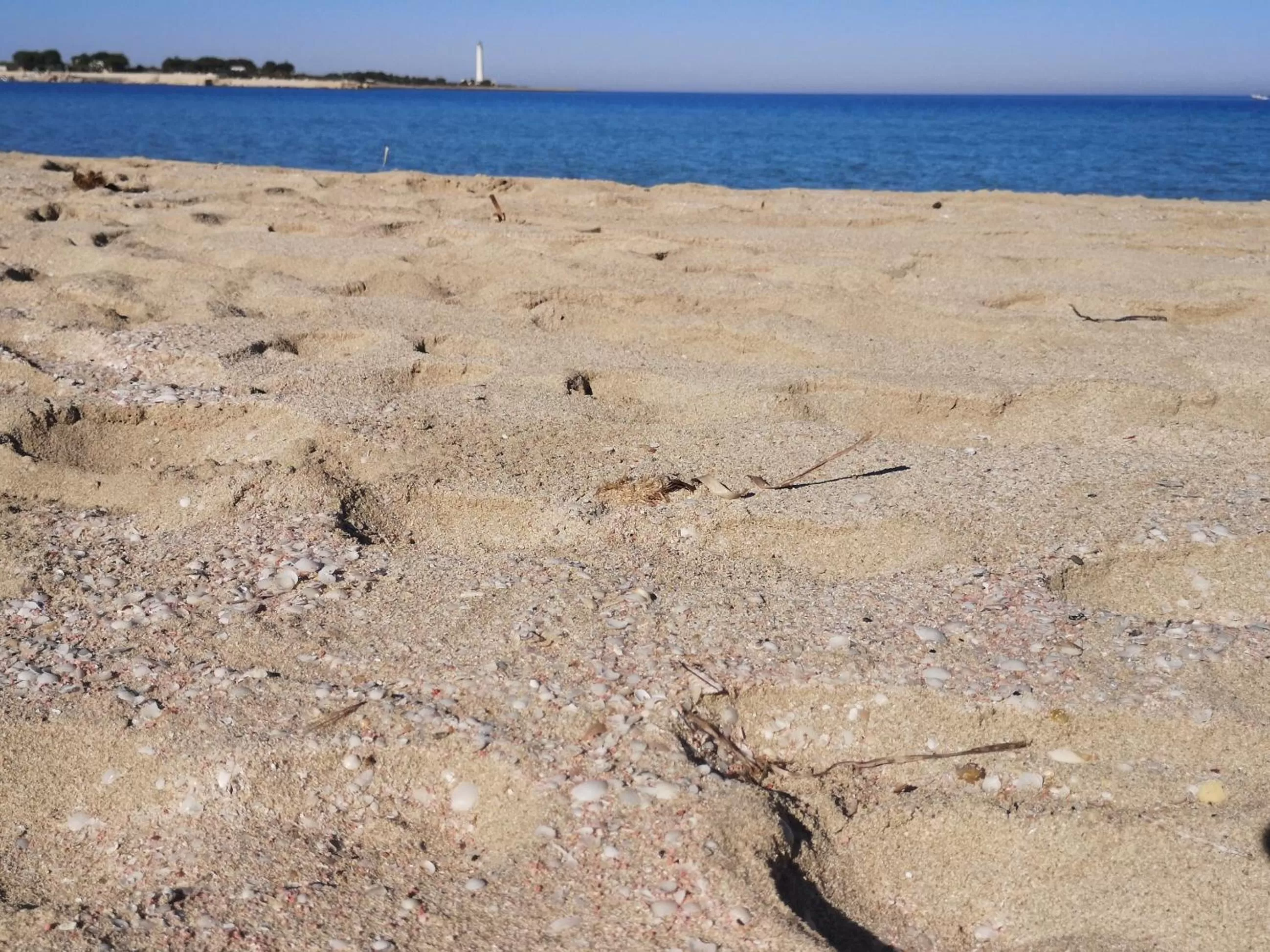 Beach in APPARTAMENTO A SAN VITO LO CAPO STANZA CON BAGNO