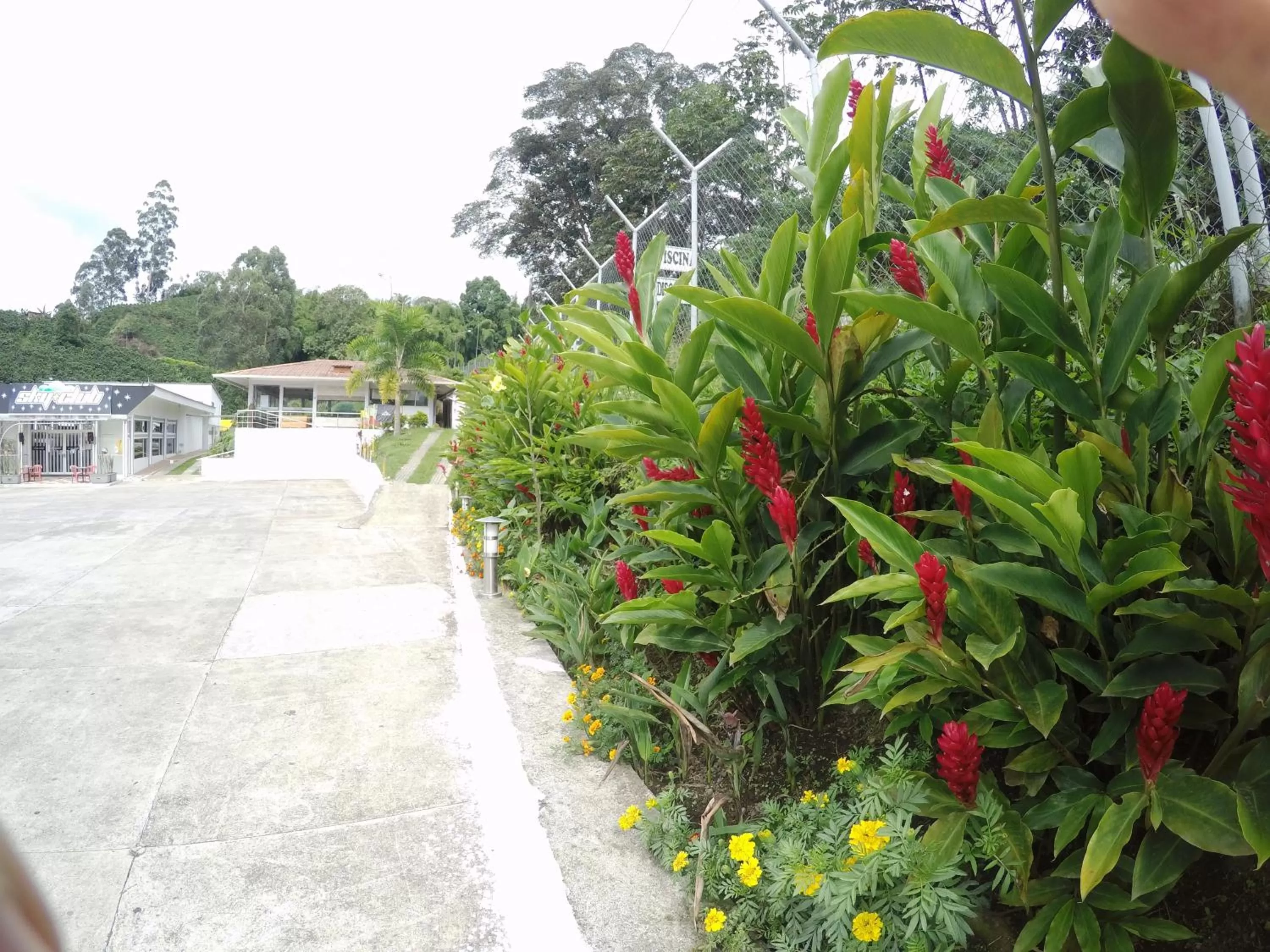 Restaurant/places to eat in Sky Club Eco Hotel