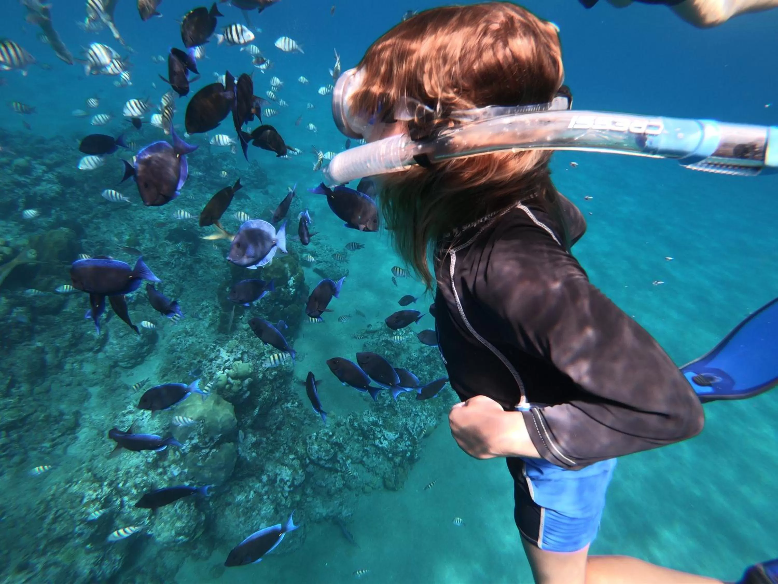Snorkeling in Coral Blanco Hotel