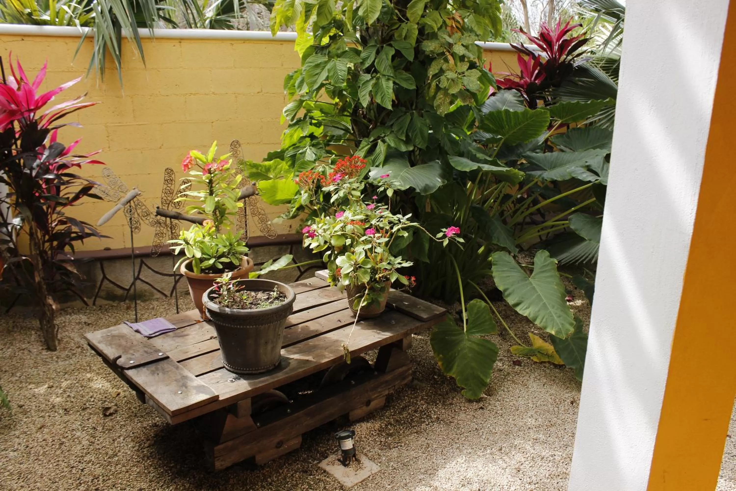 Property building in Posada Ya´ax Ich