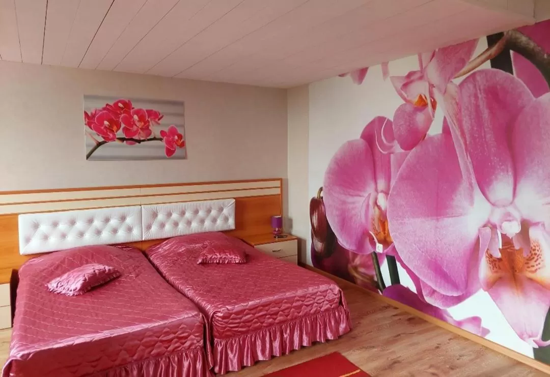 Bed in Hotel Dobrudja