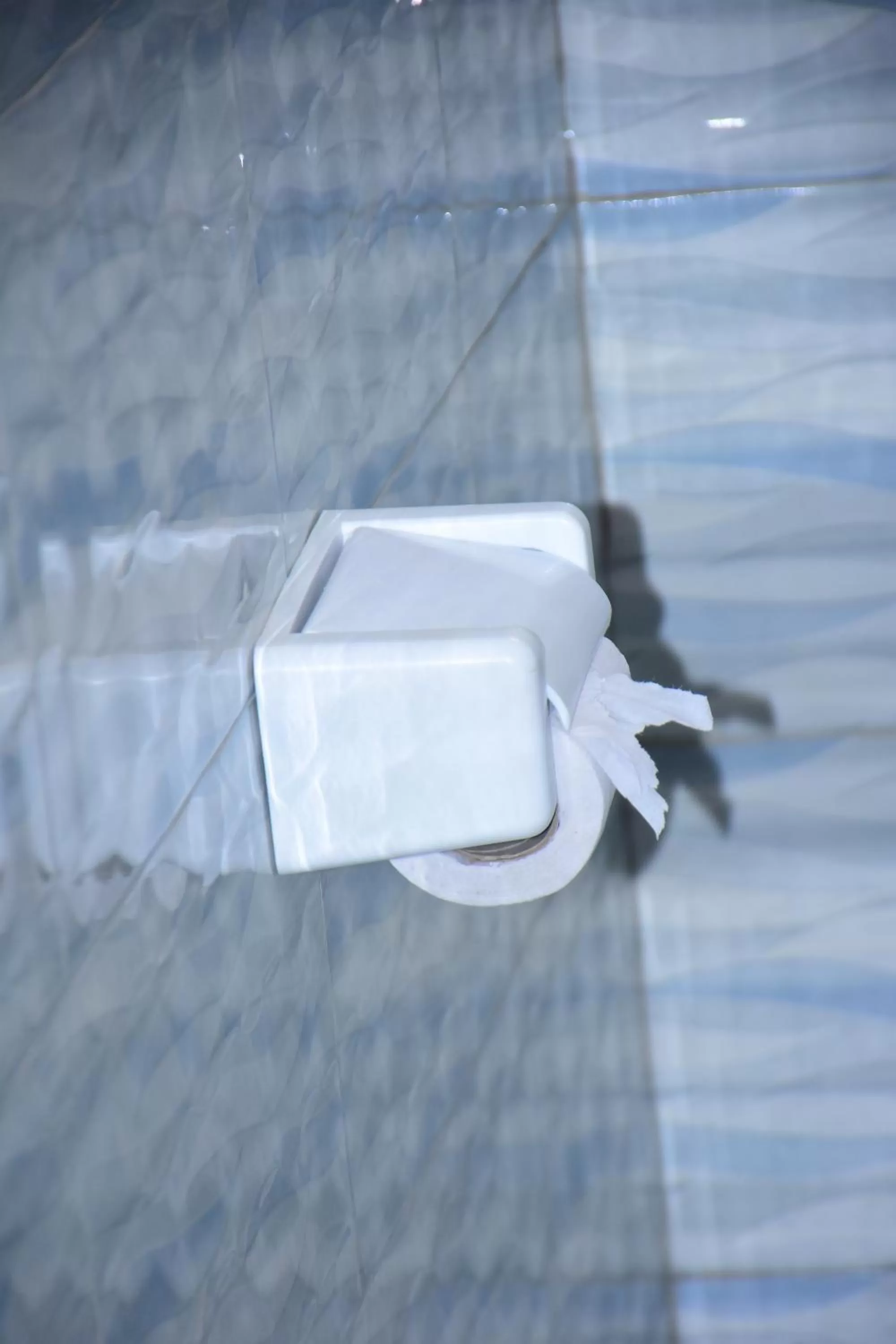 furniture in Safari Park House