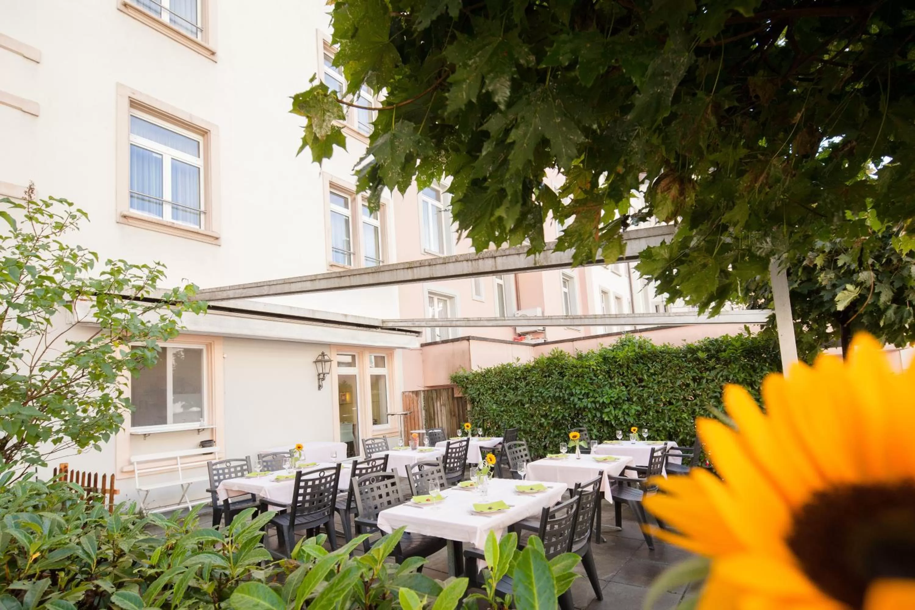 Facade/entrance in Hotel Ambassador