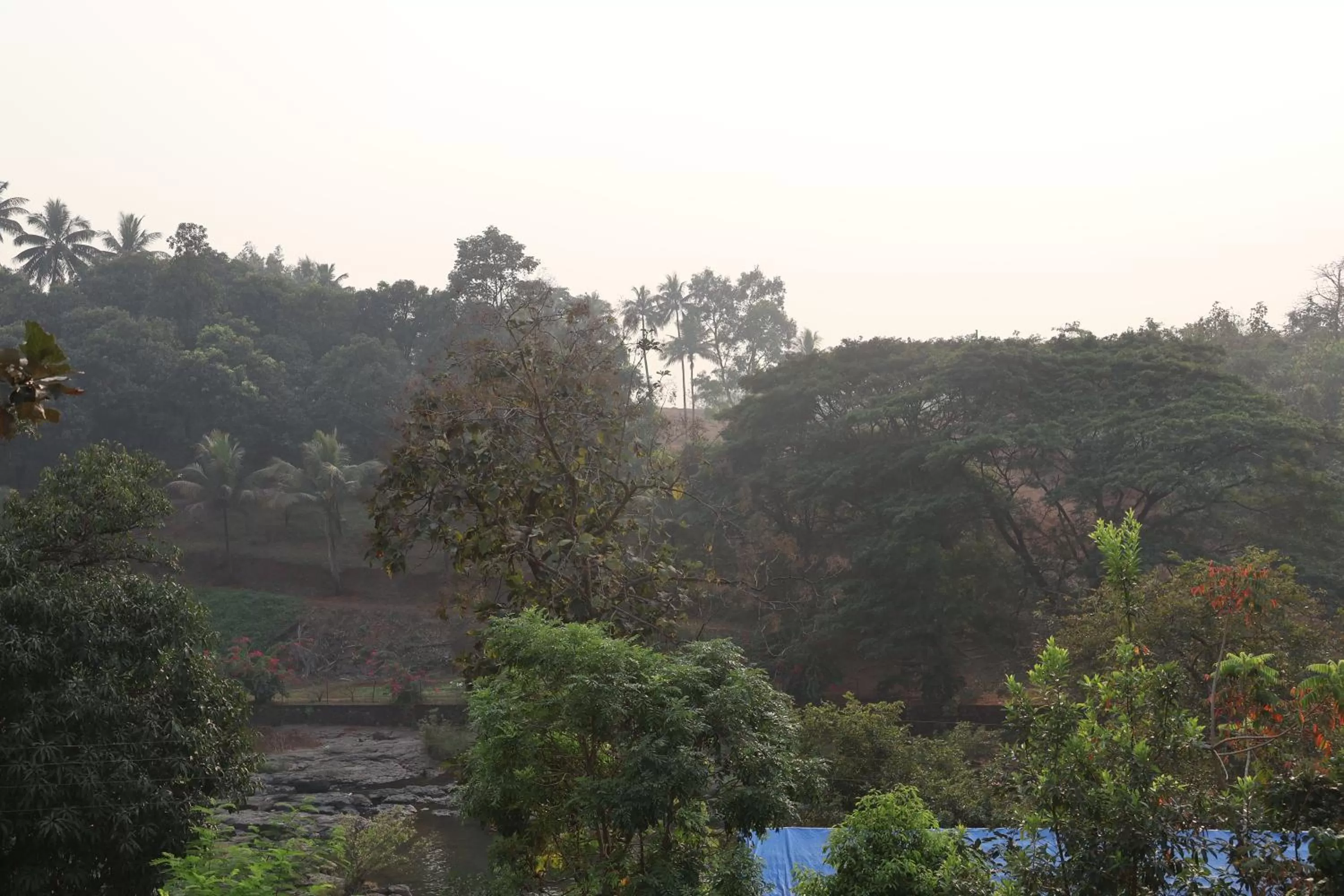 Natural landscape in Saveda Farm & Cottages