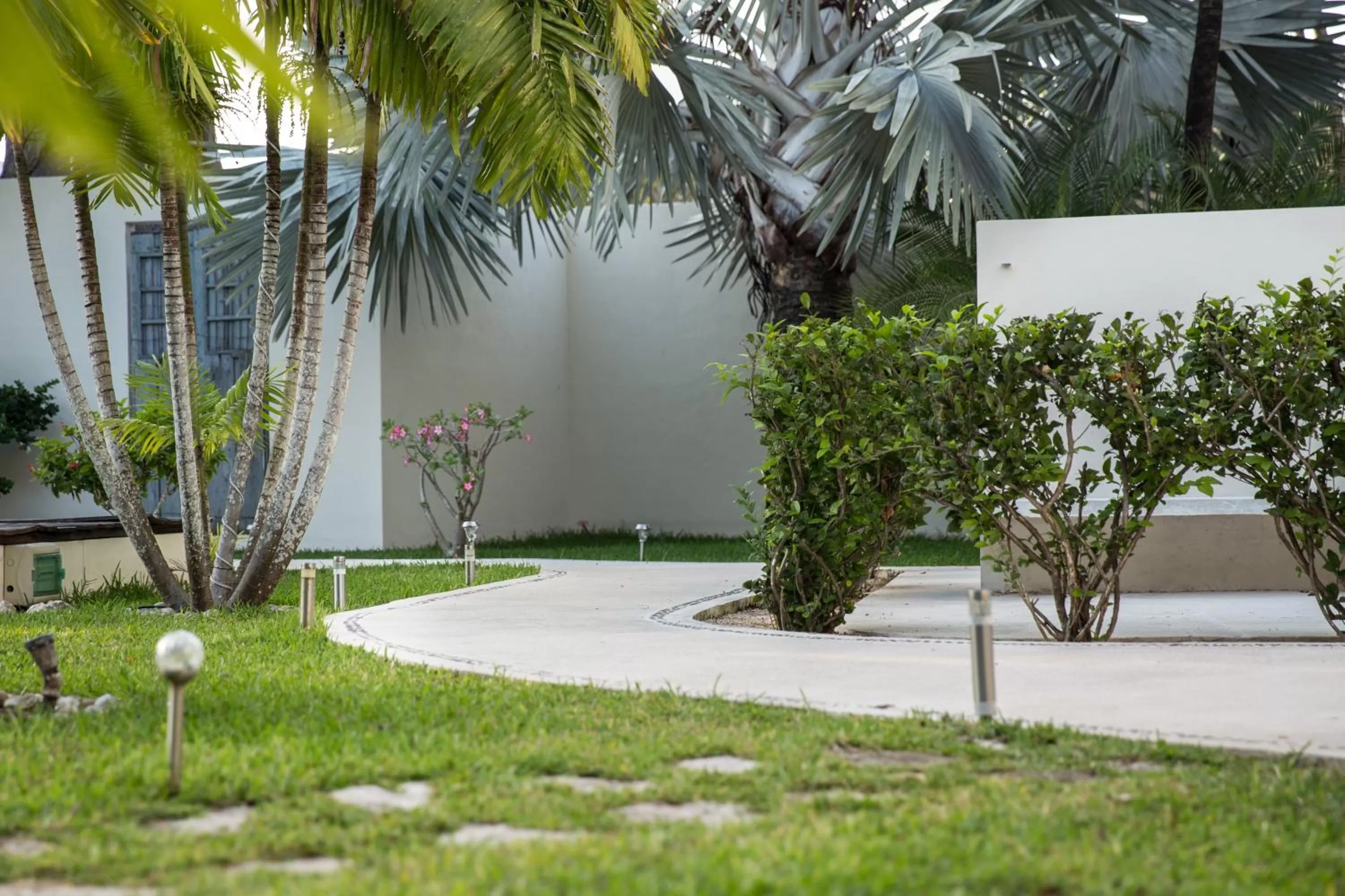 Garden in Villas H2O