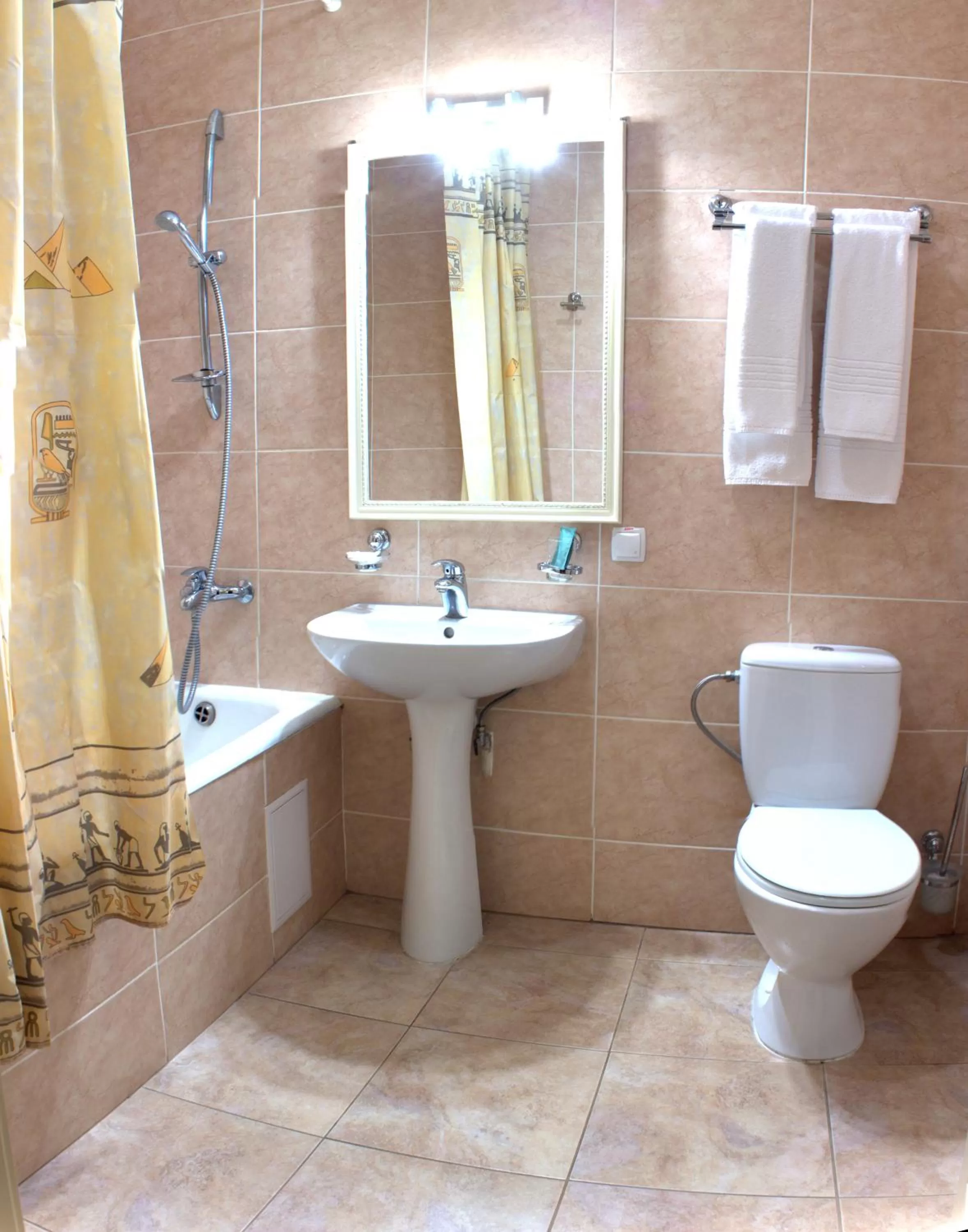 Twin Room - single occupancy in Hotel Prydesnyansky