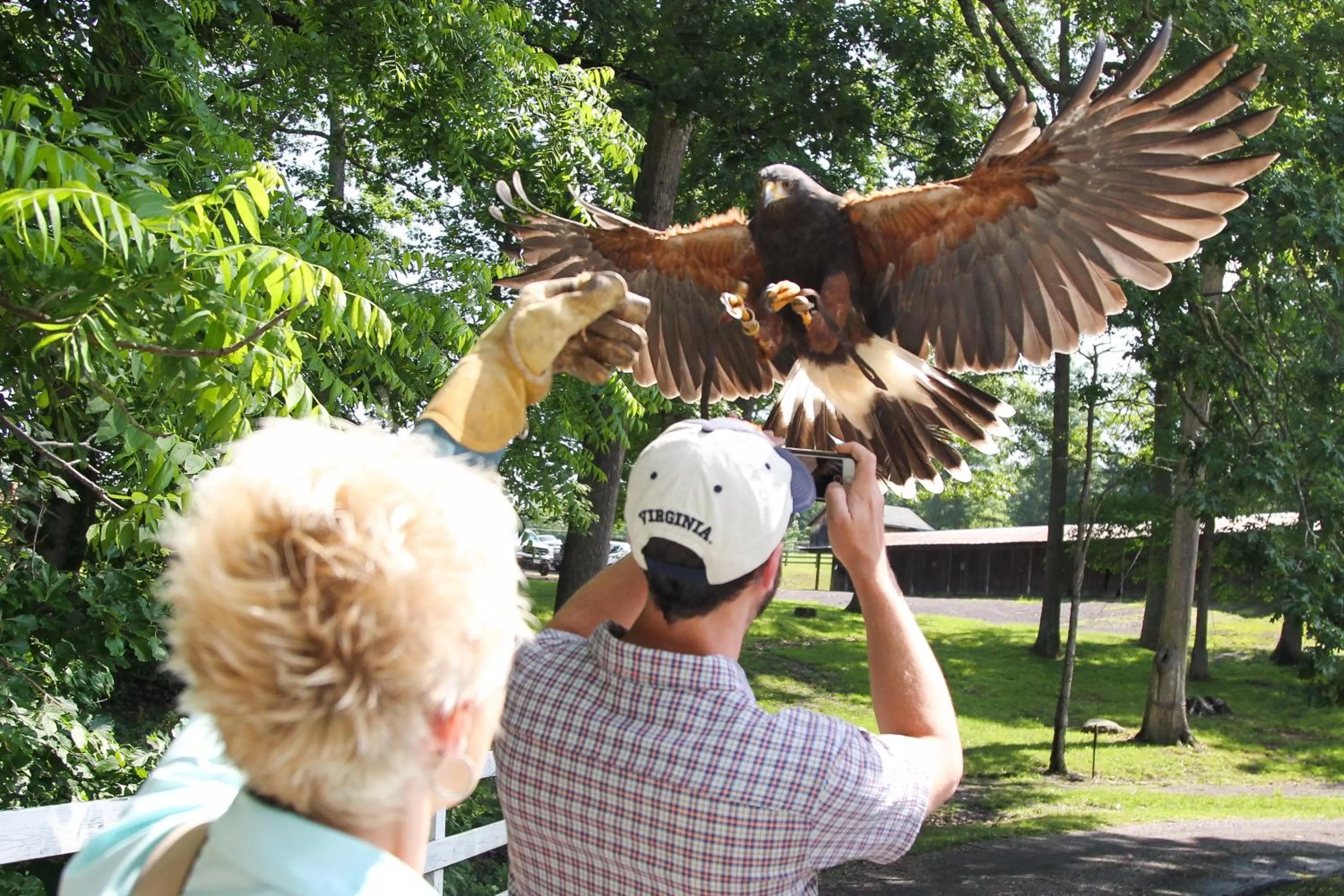 Other in The Omni Homestead Resort & Spa