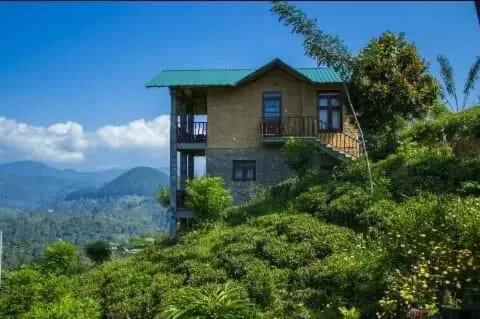 Garden view in Ornateview Hotel