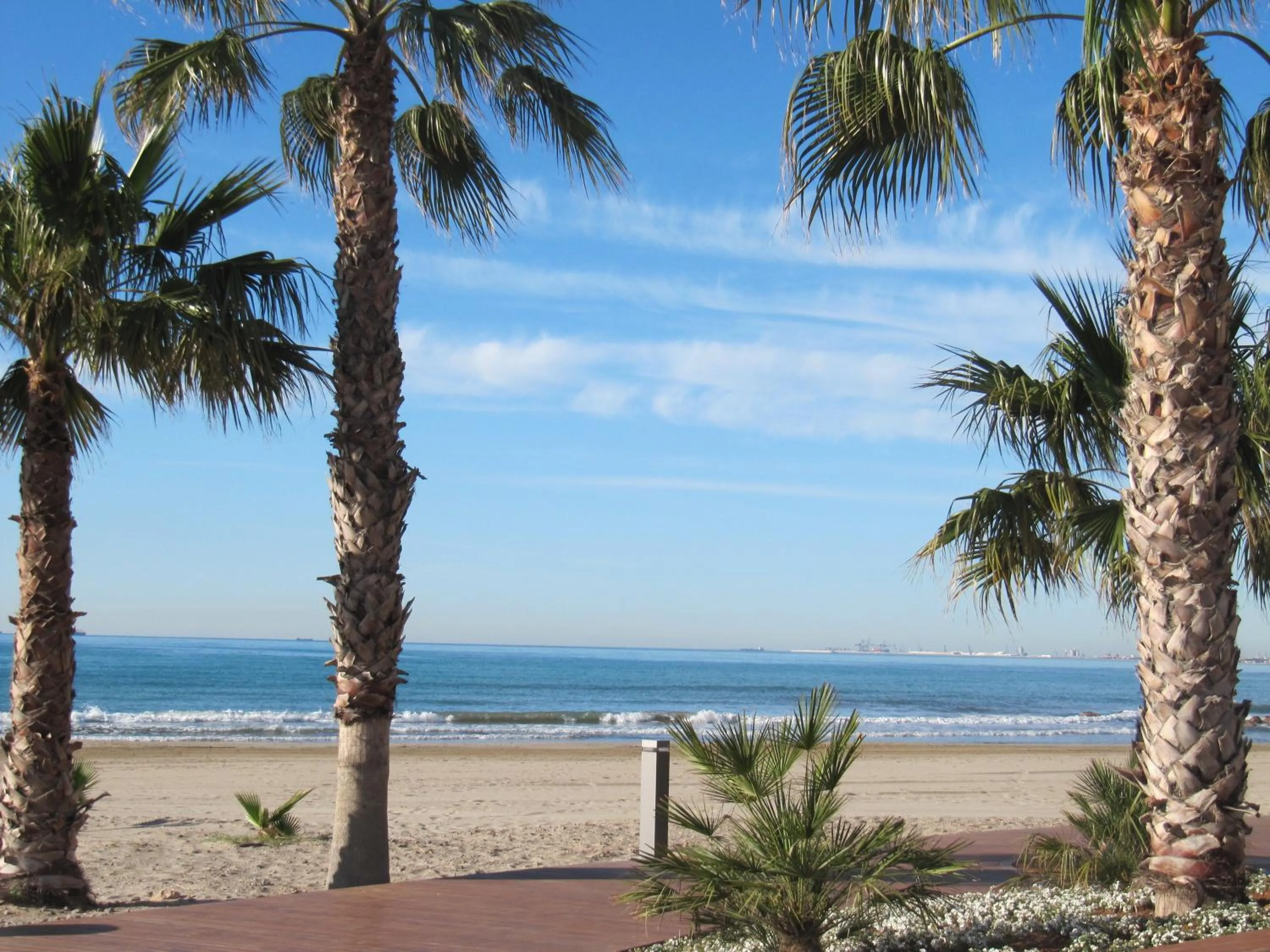 Beach in Hotel Tramontana