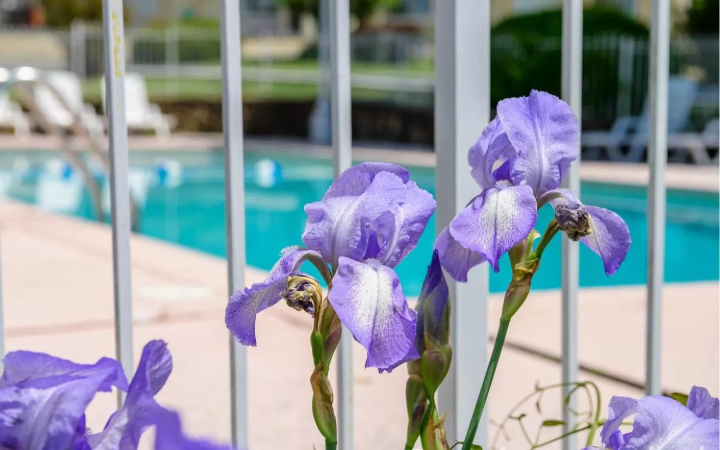 Property building in Land O Nod Inn