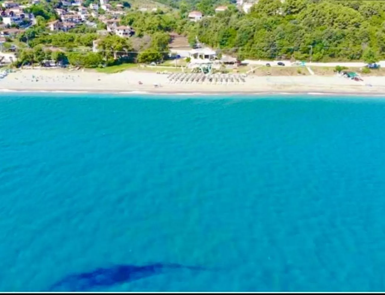 Day in Hotel Christina - Happy Days