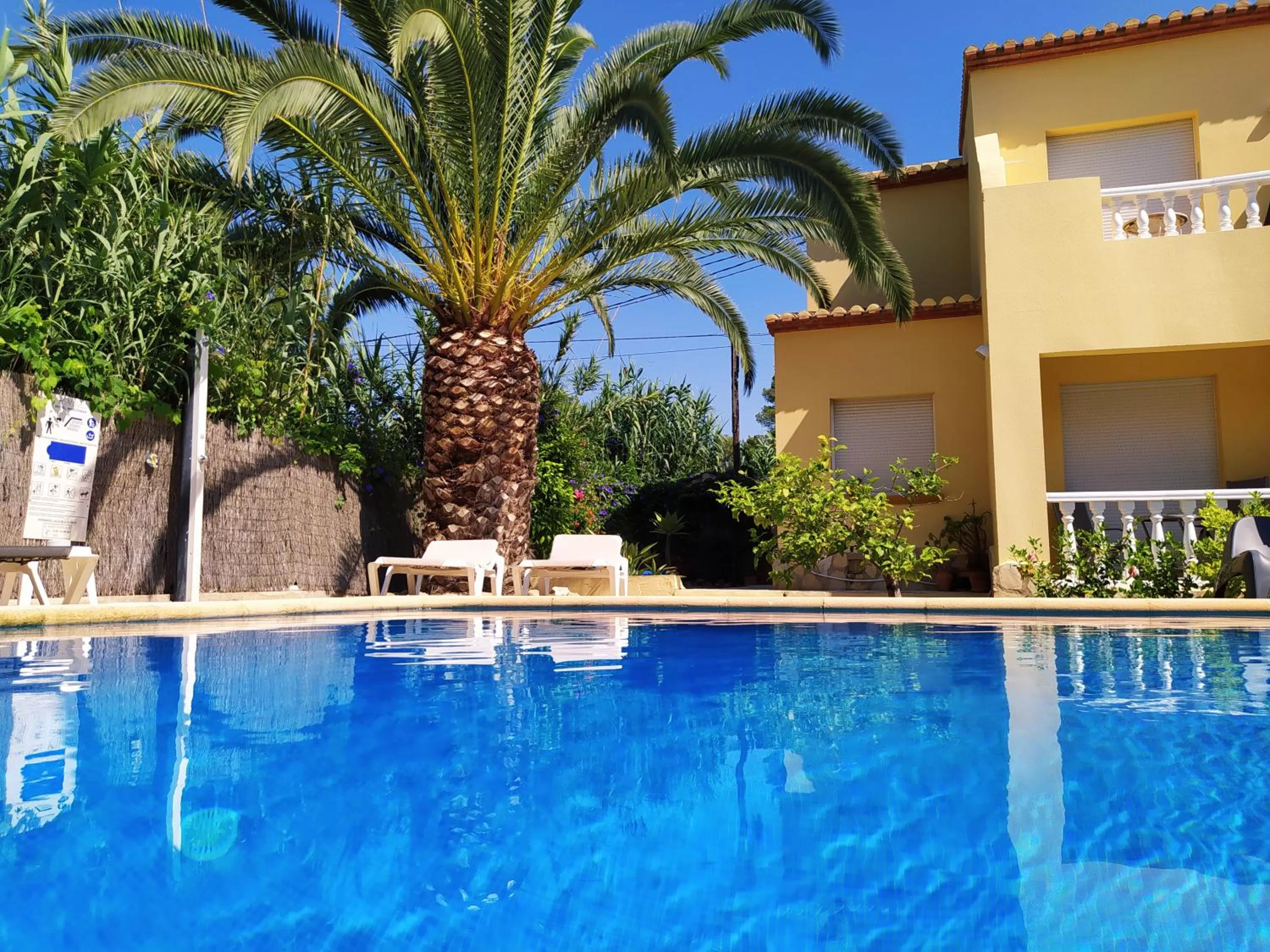 Property building in Hotel Montemar