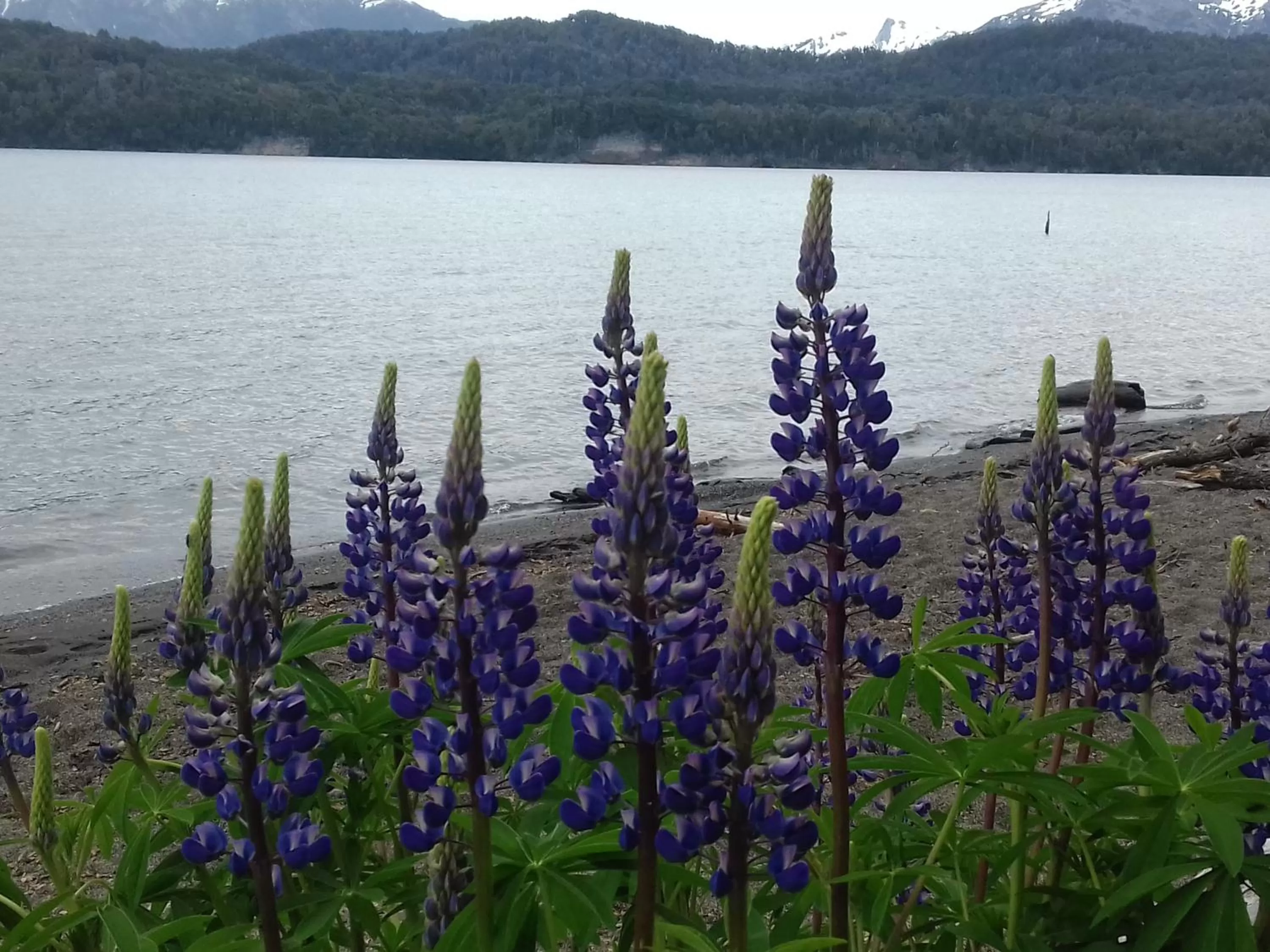 Beach in Hosteria Lekun Lekun