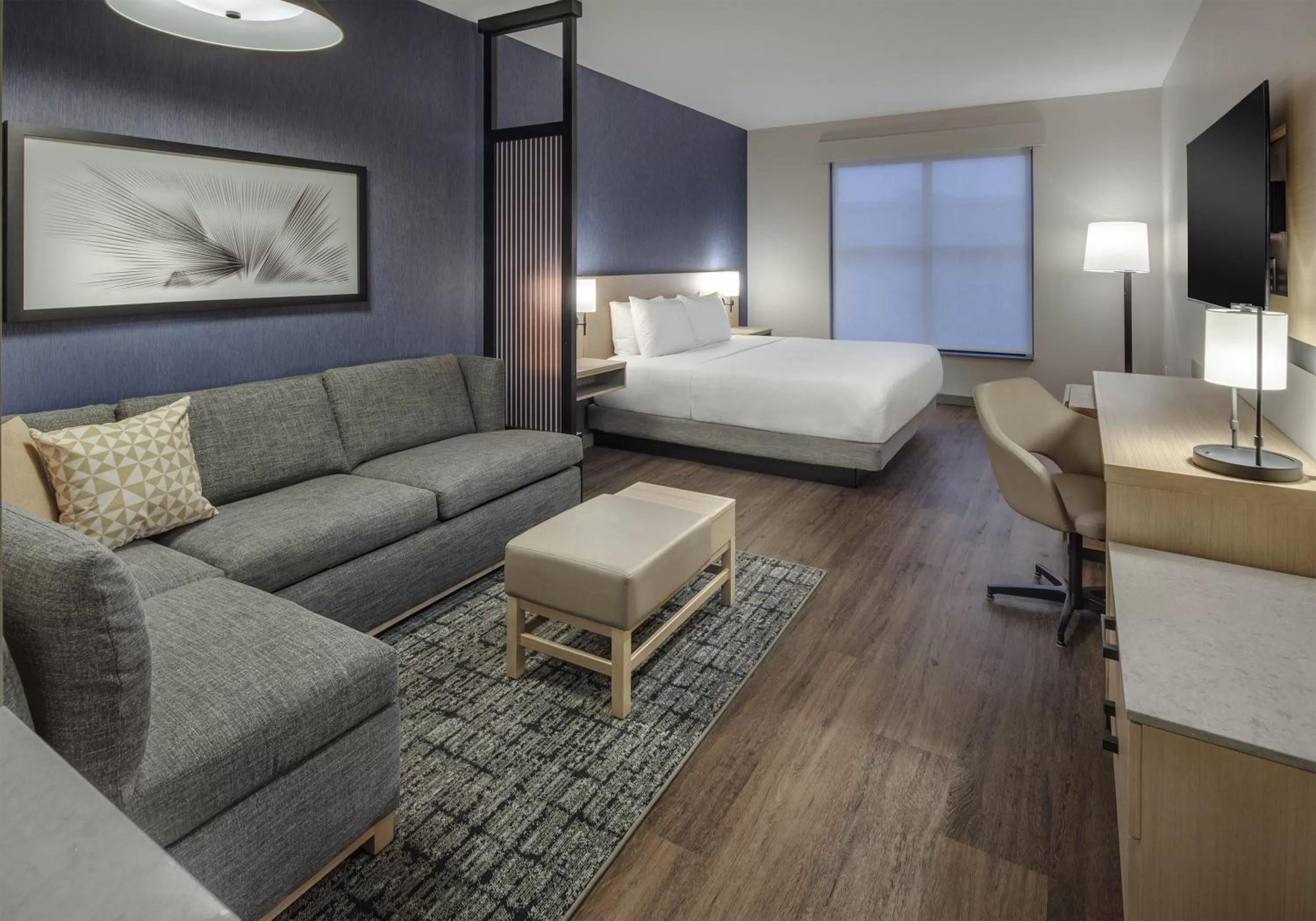 King Room with Sofa Bed and Roll-In Shower - Disability Access in Hyatt Place Newark-Main Street
