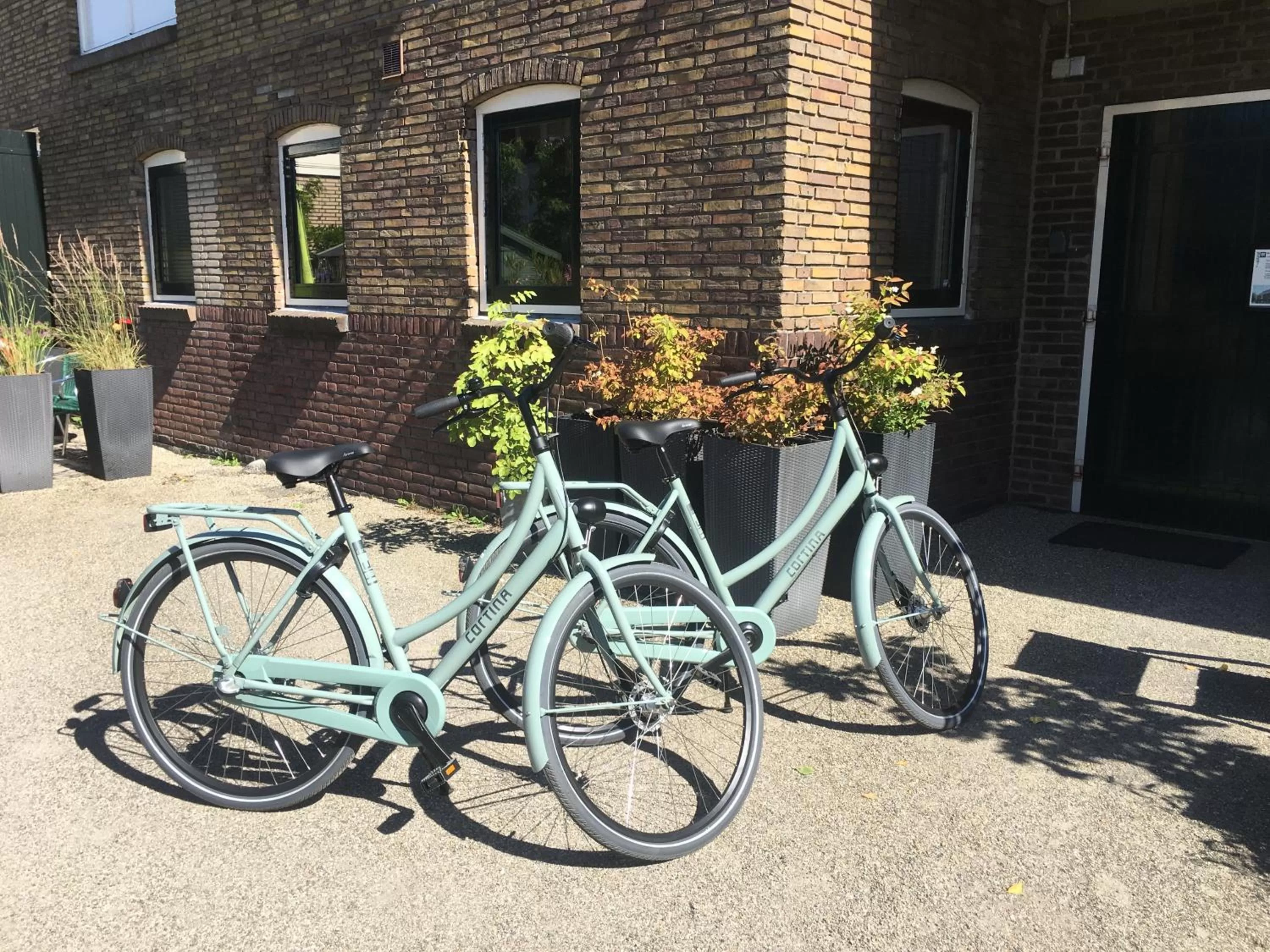 Activities in Bed&Breakfast Maasland