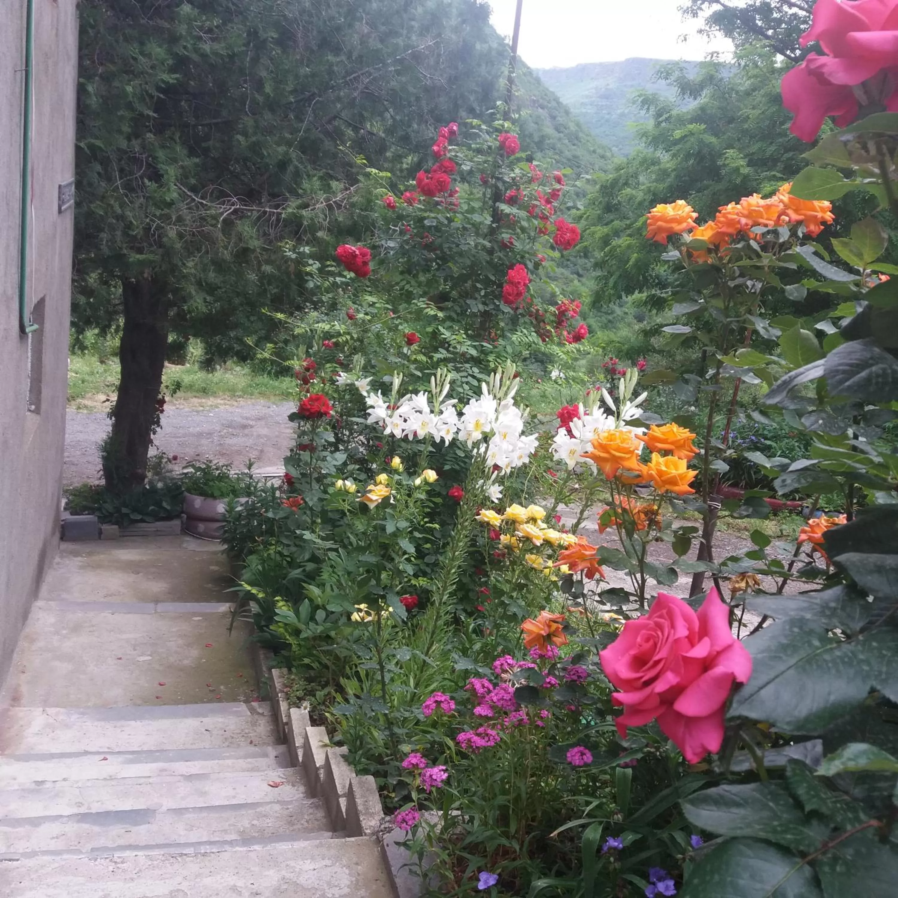 Day in IRIS B&B in DEBED CANYON