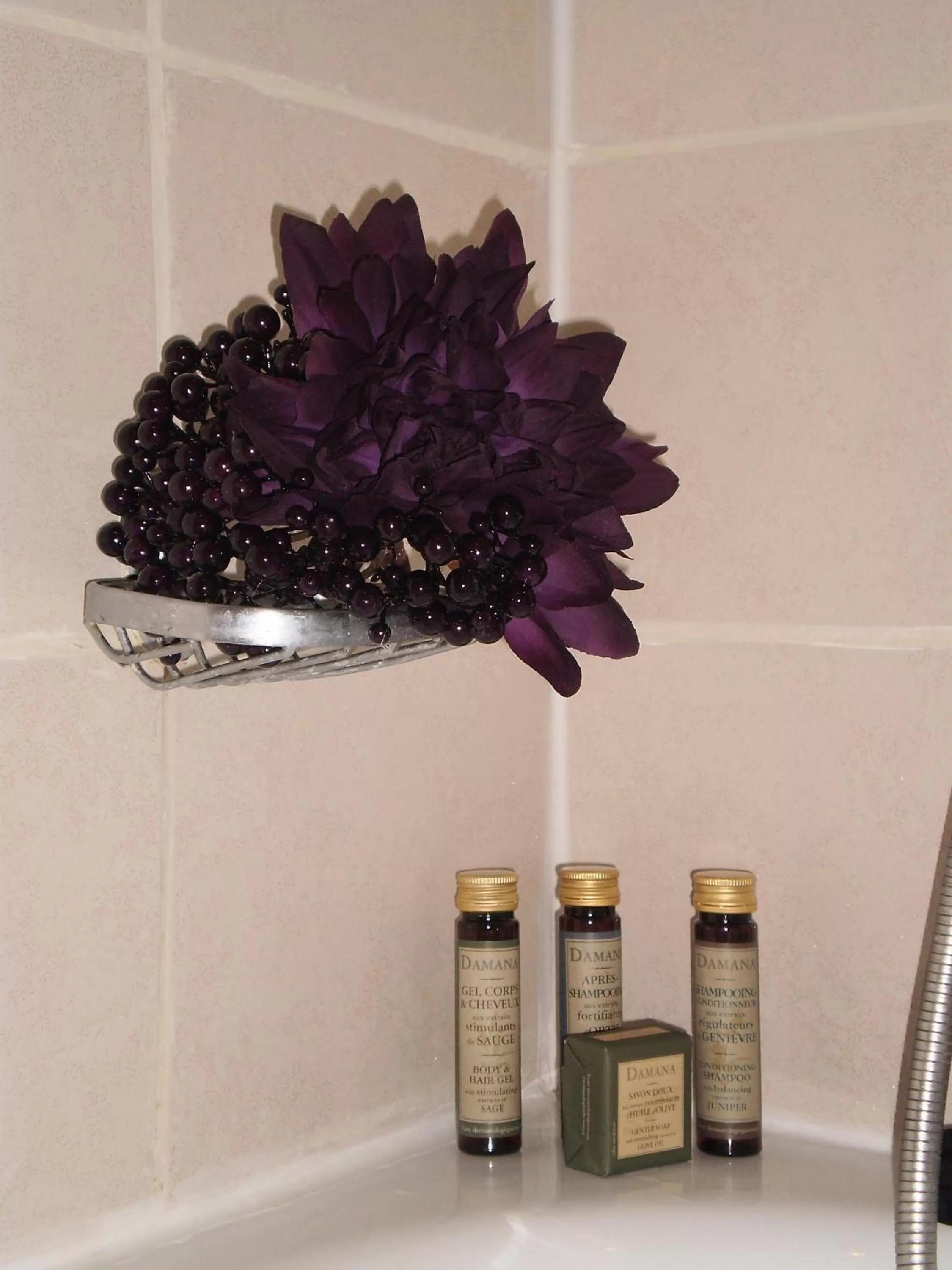 Decorative detail in Hotel Corona -Rodier-