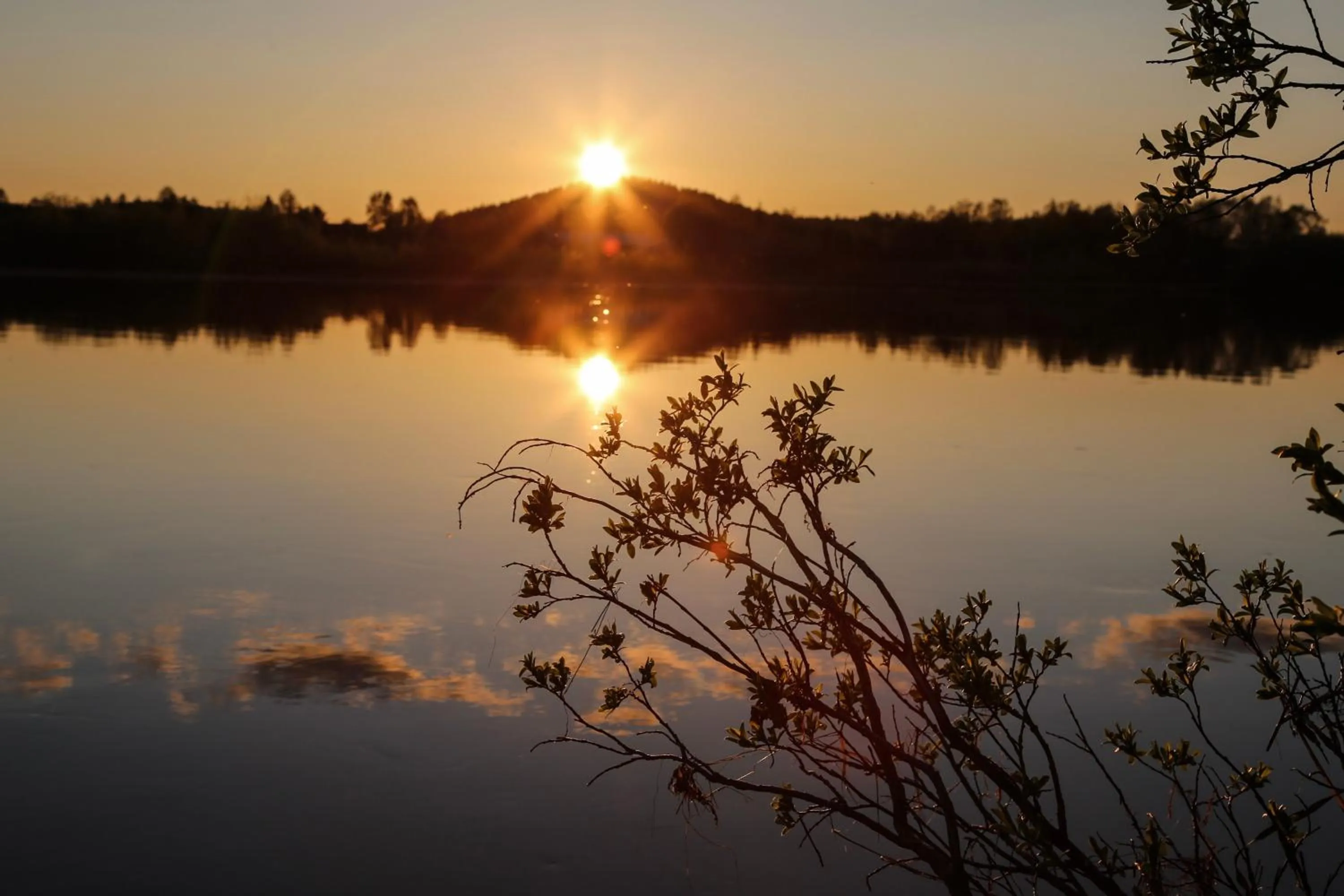 Natural landscape in Aurora Village Ivalo