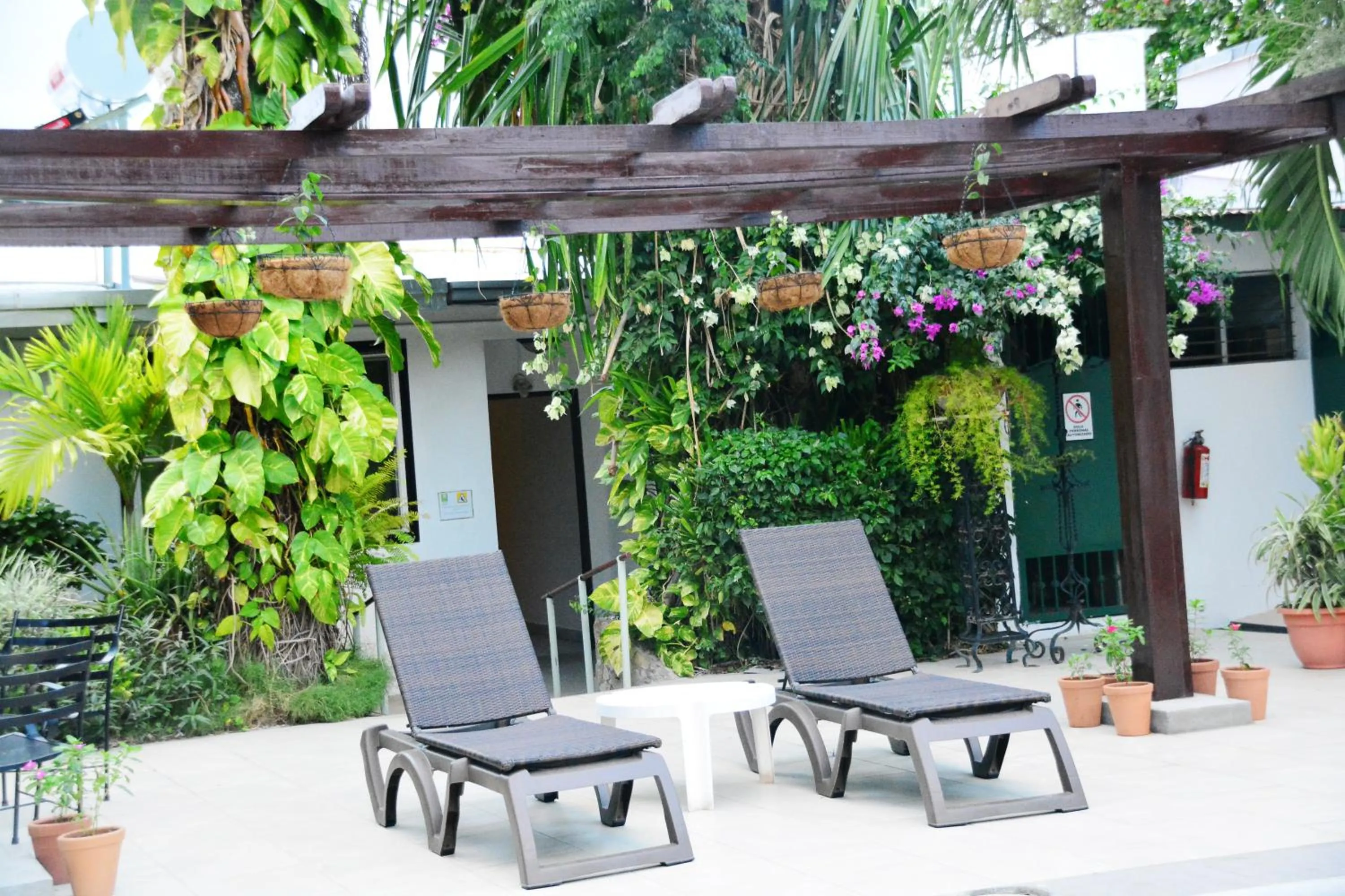 Garden in Hotel Europeo