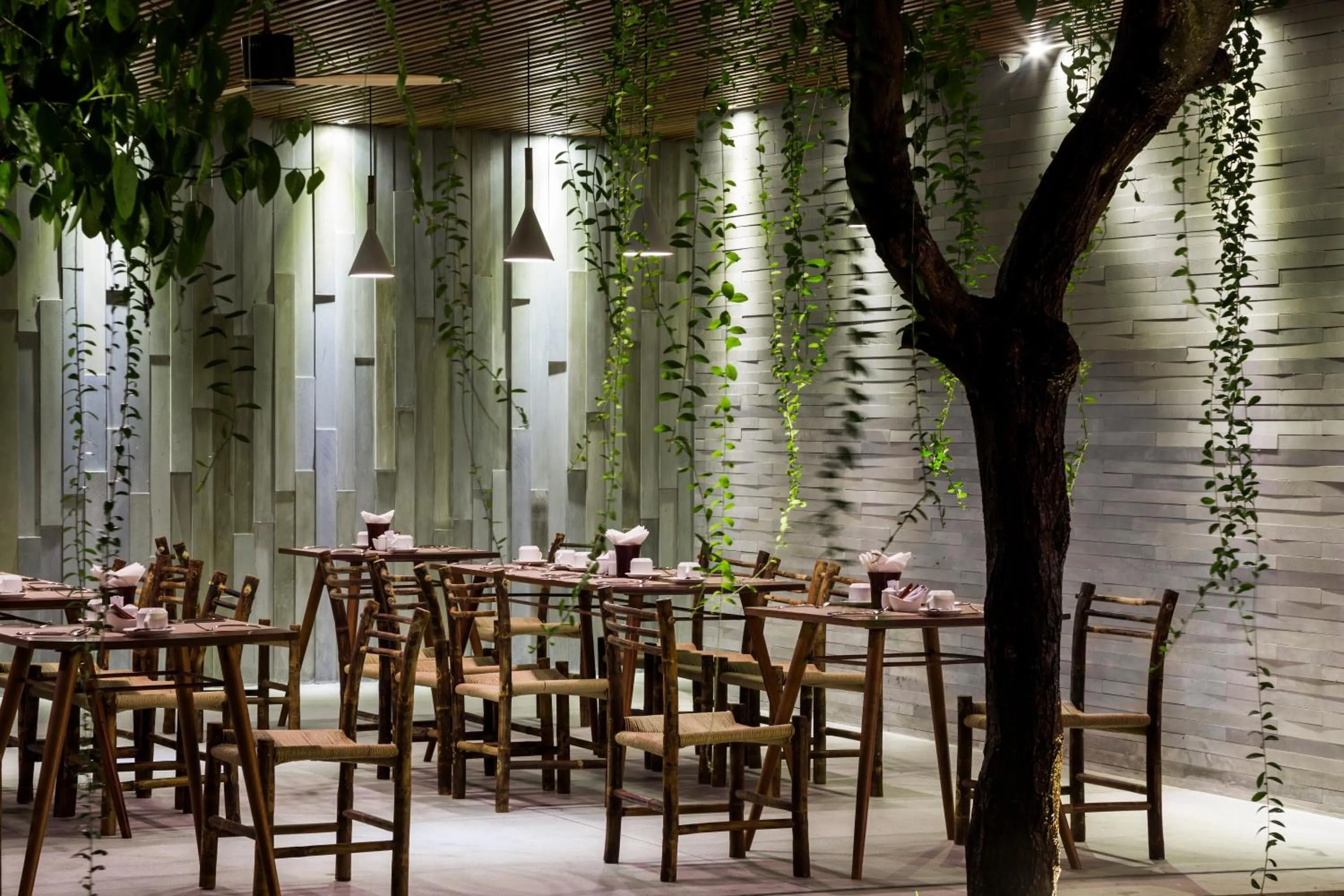 Restaurant/places to eat in Mulberry Collection Silk Eco