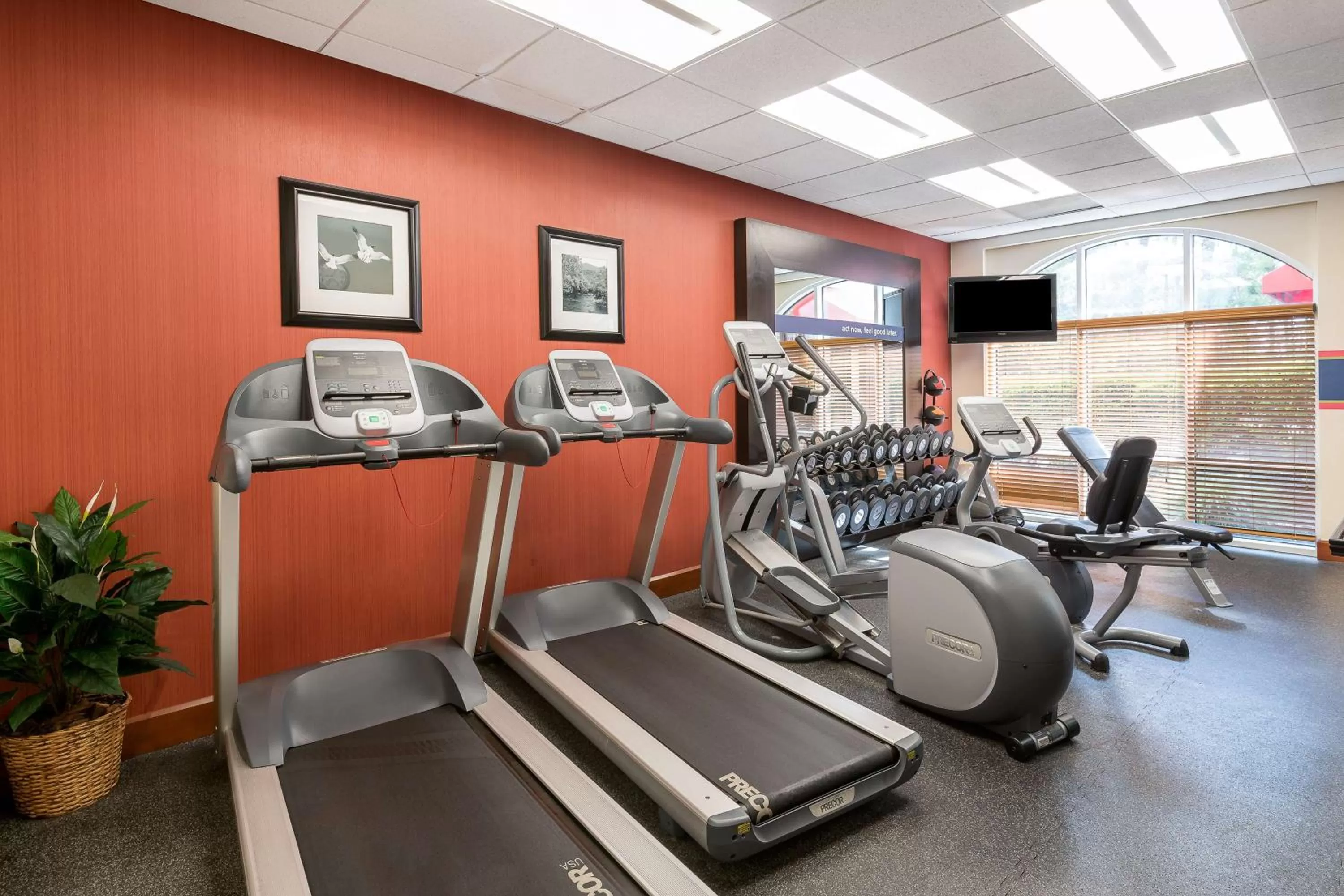 Fitness centre/facilities in Hampton Inn & Suites Florence-North-I-95