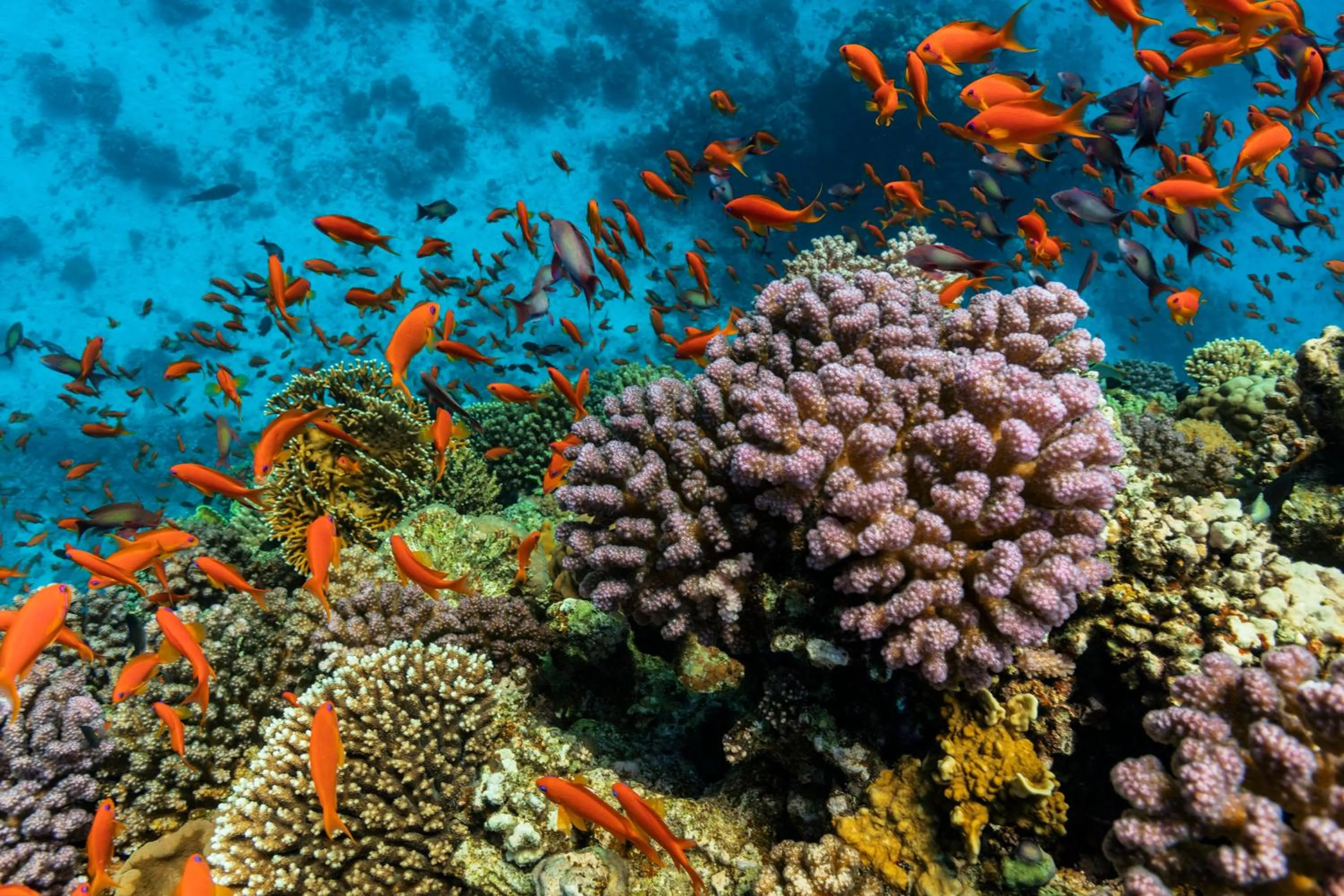 Activities in The Cascades Golf Resort, Spa & Thalasso