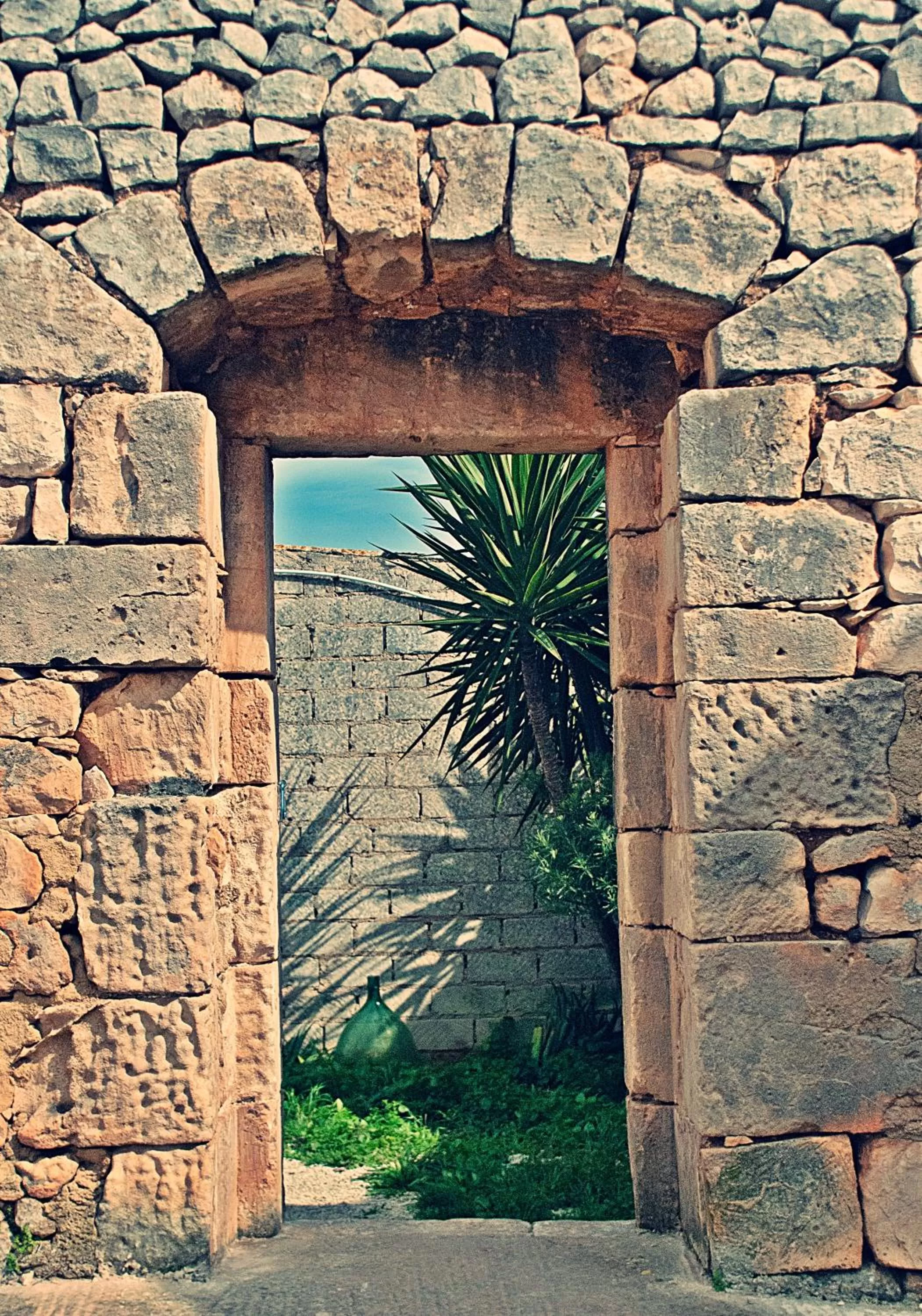 Area and facilities in Vinciucci