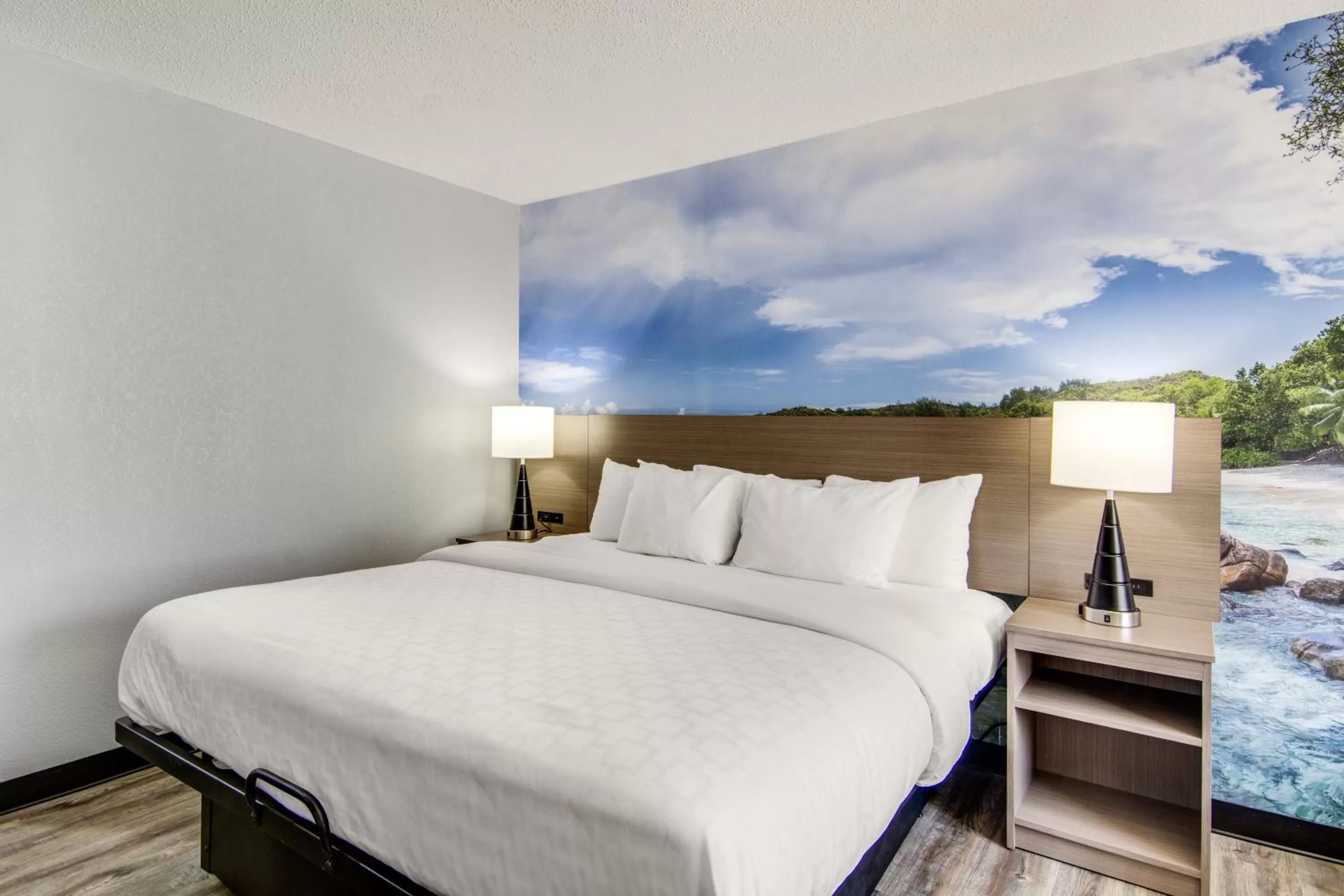 Photo of the whole room, Bed in Clarion Pointe on the lake Clarksville-South Hill West