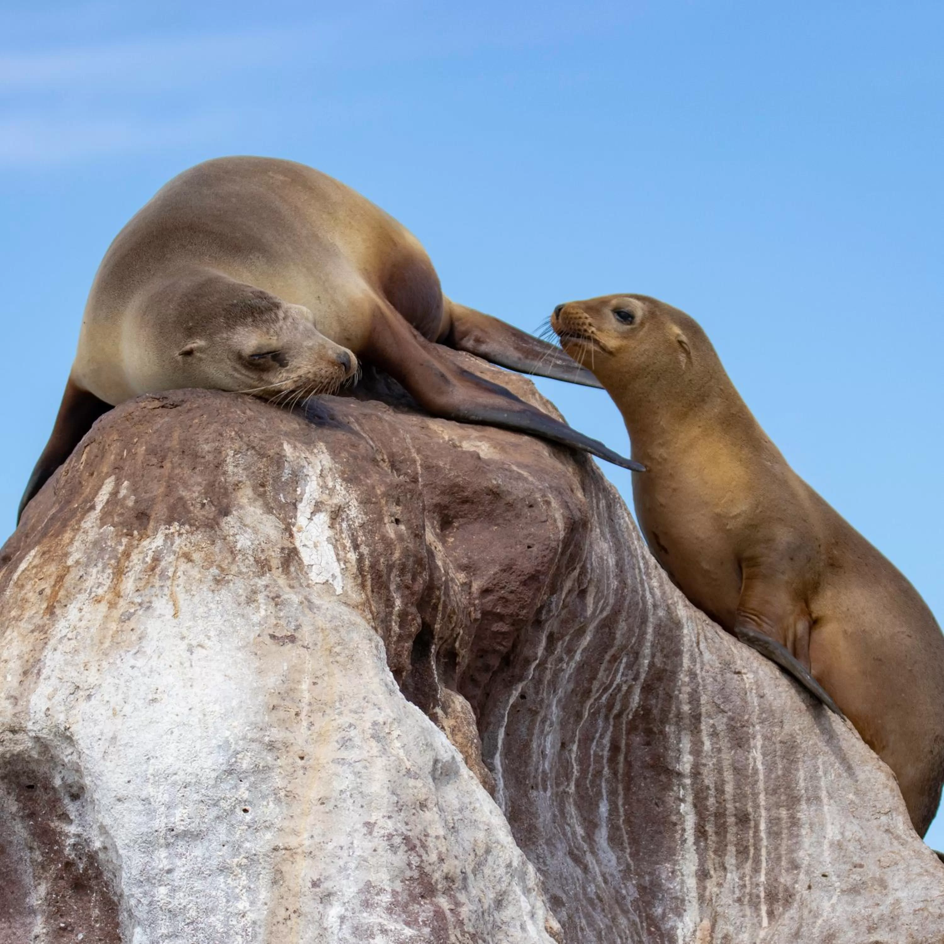 Spring in Hotel Posada Luna Sol