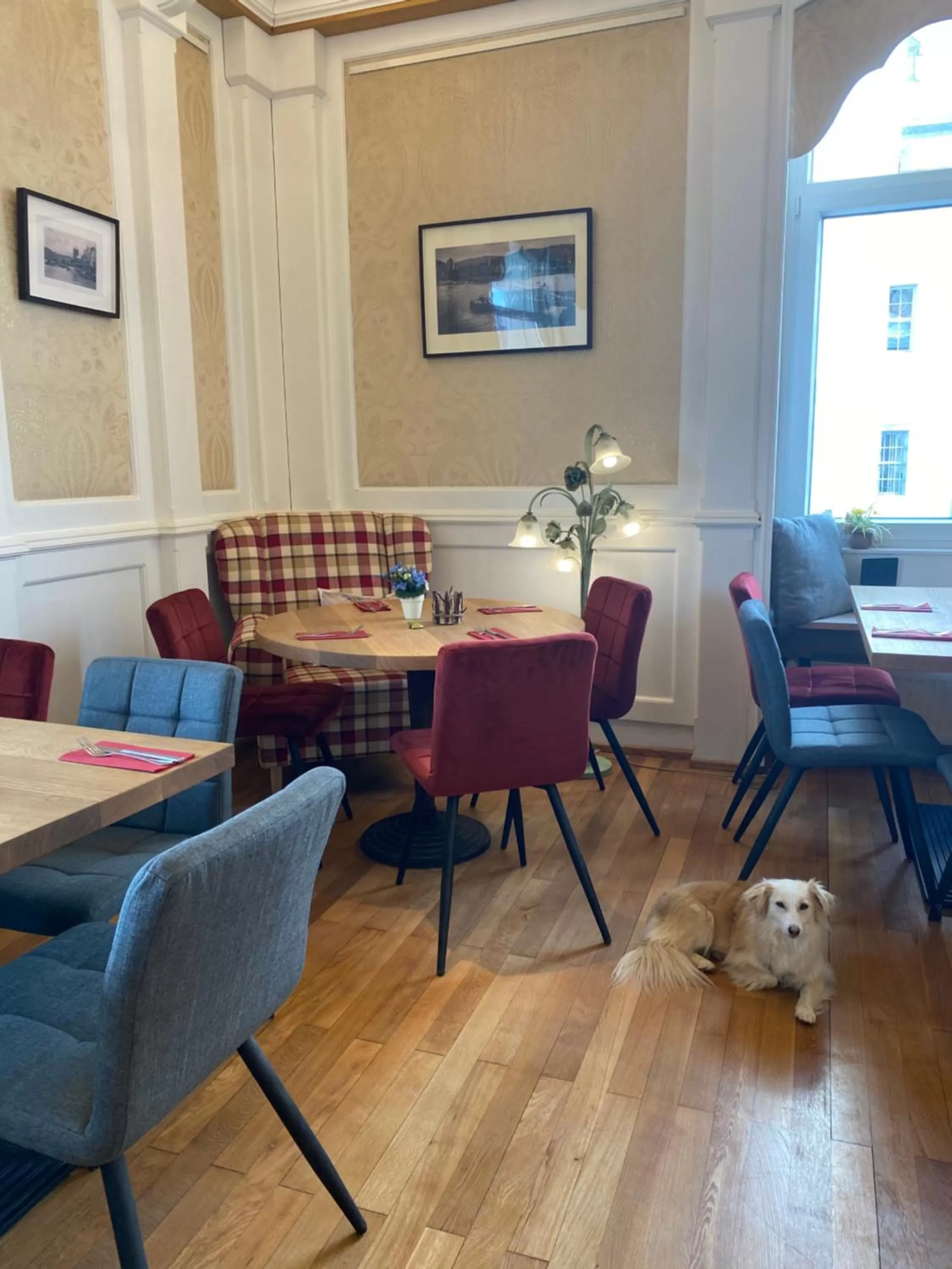 Seating Area in Pension Zur Fähre