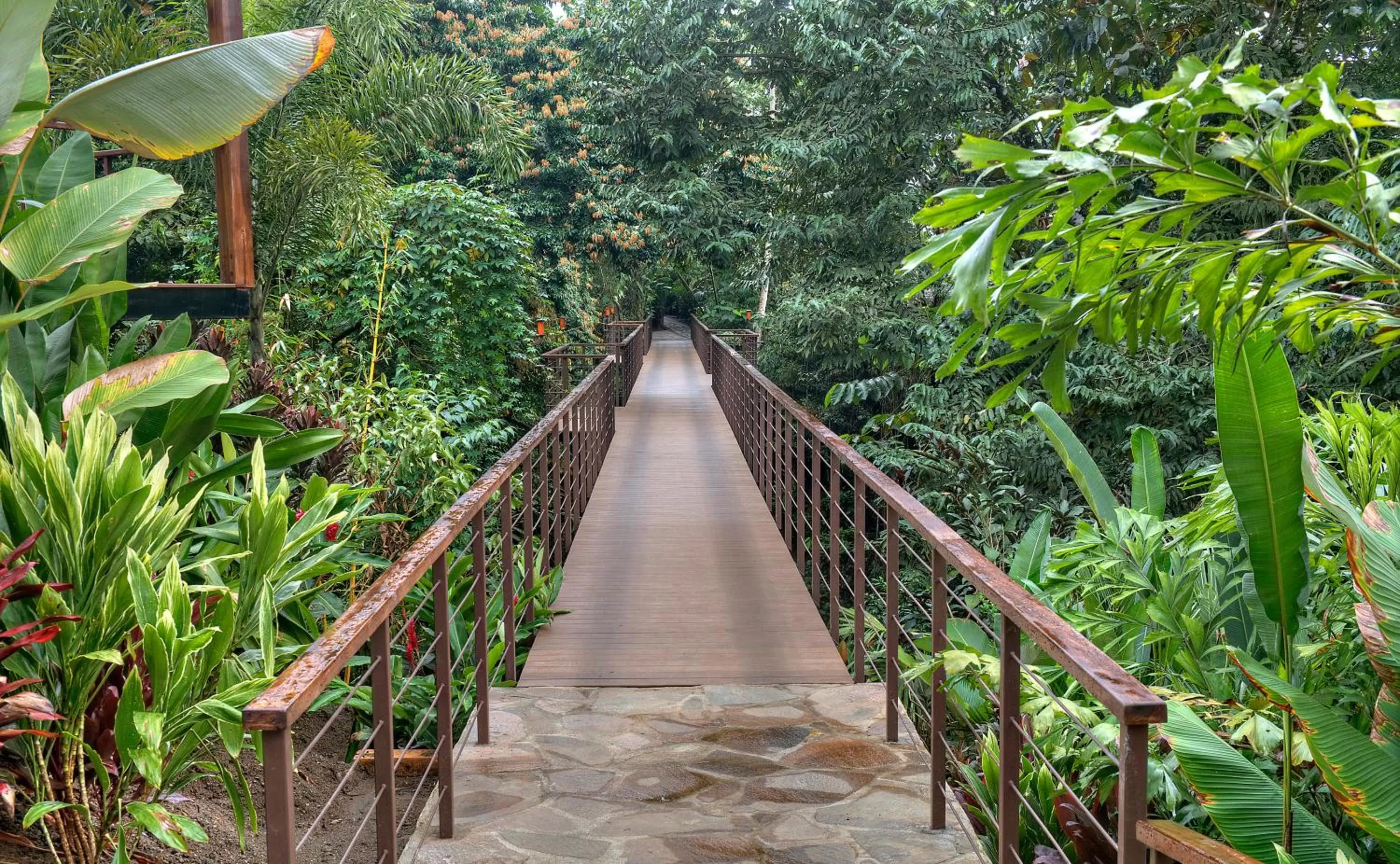 Natural landscape in Nayara Springs - Adults Only