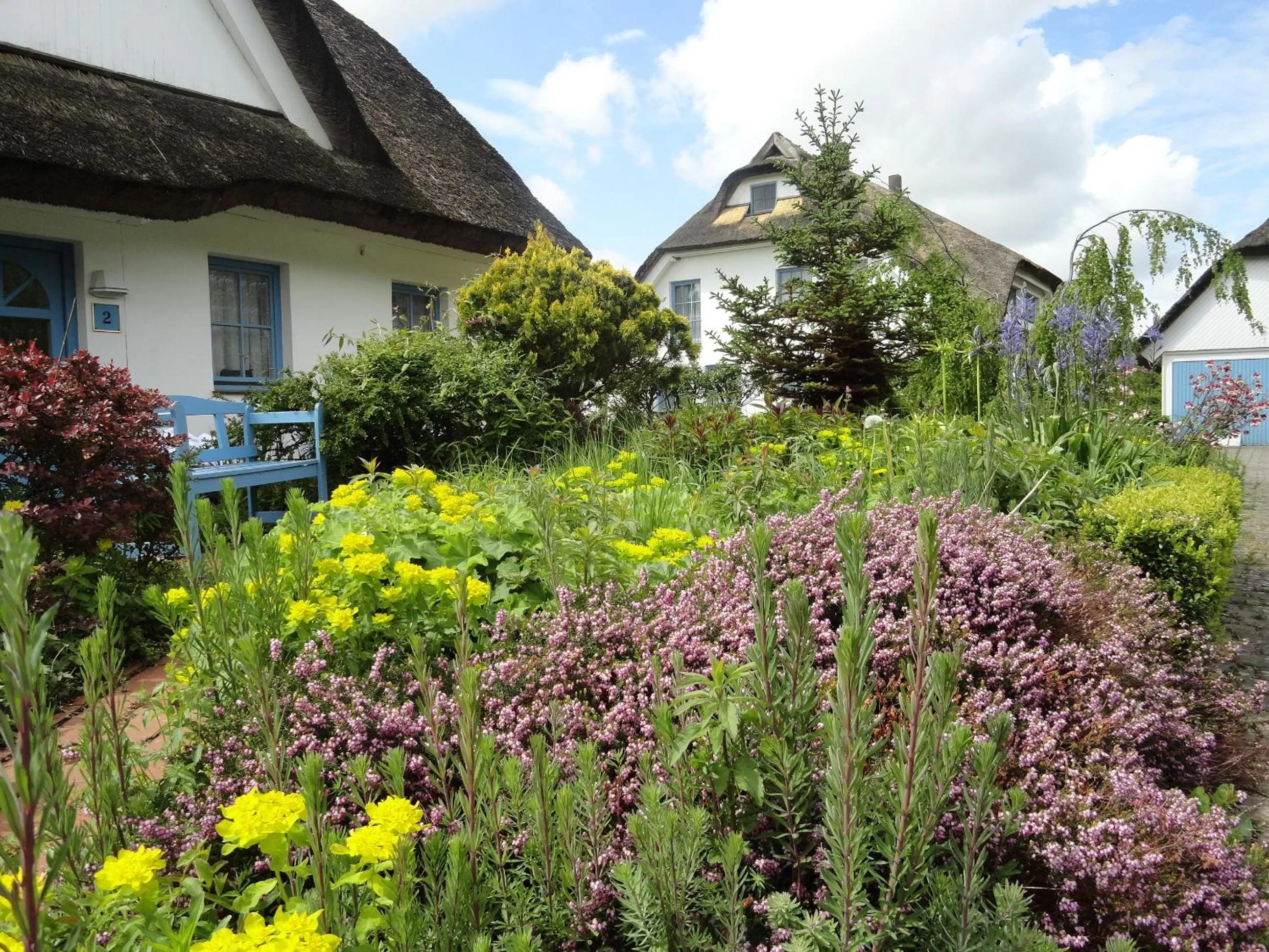 Garden in Landhotel Kastanienallee Putbus