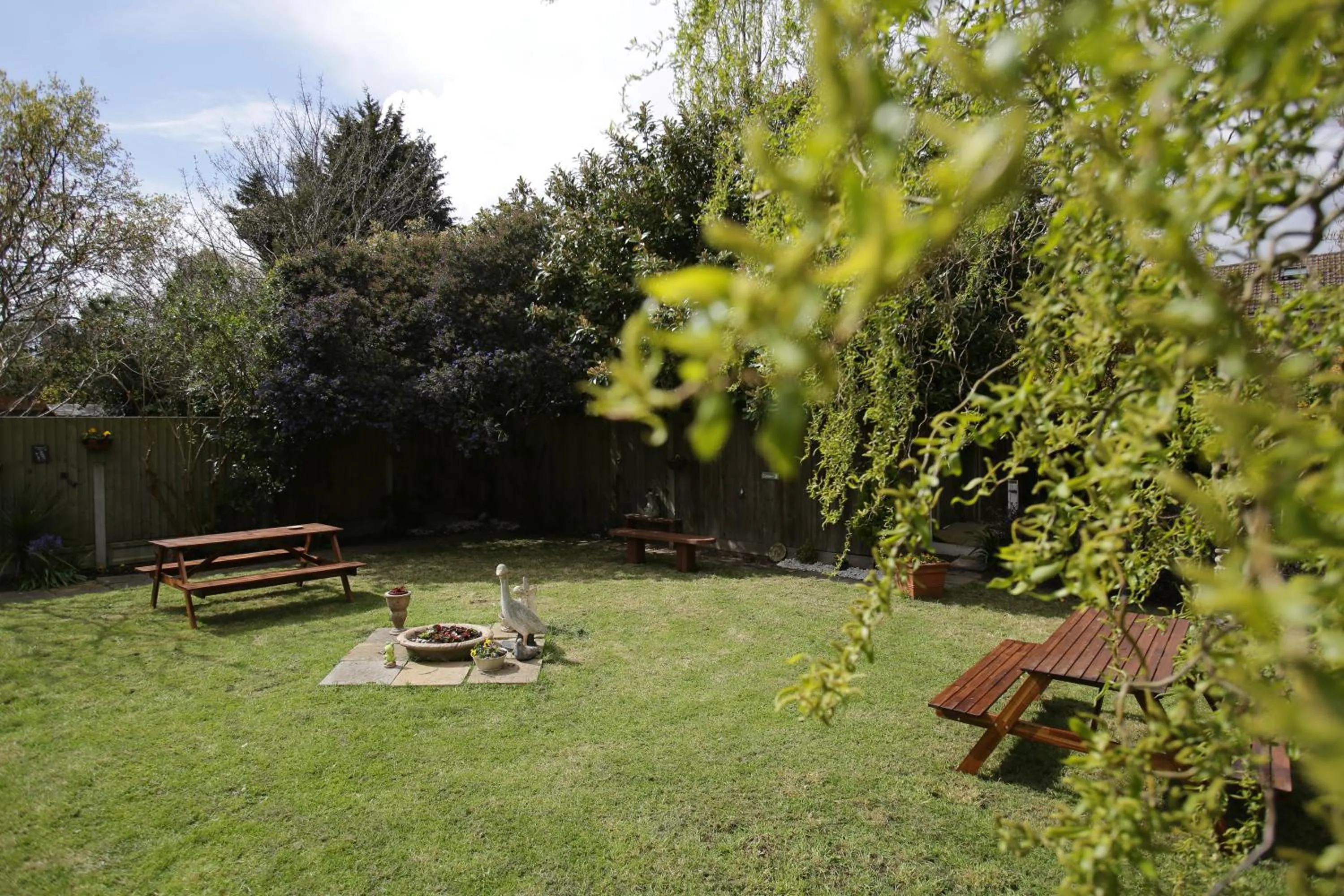 Garden in Manor House London