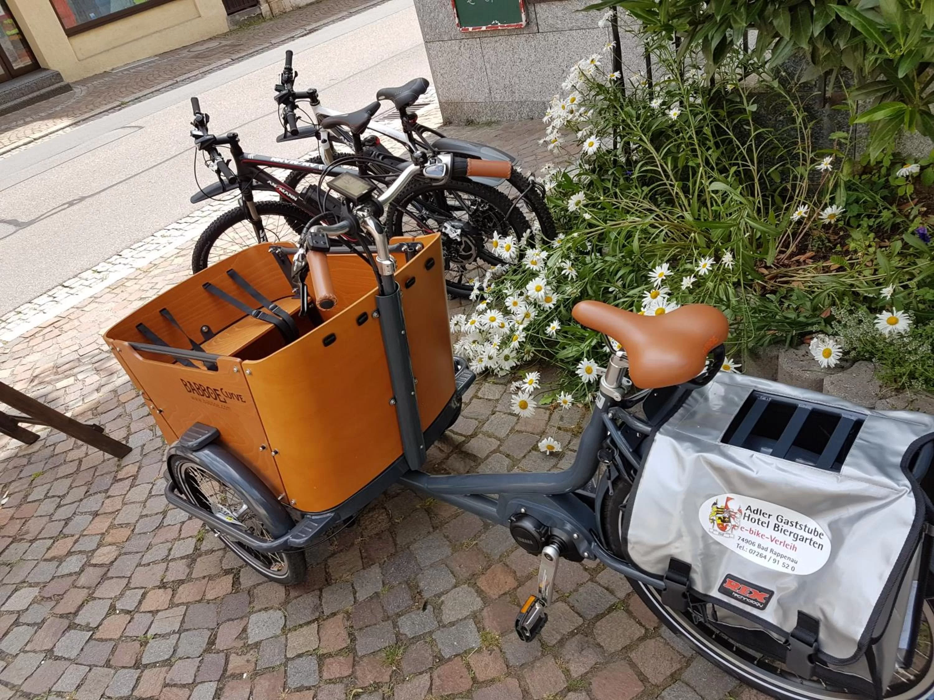 Cycling in Adler Gaststube Hotel Biergarten