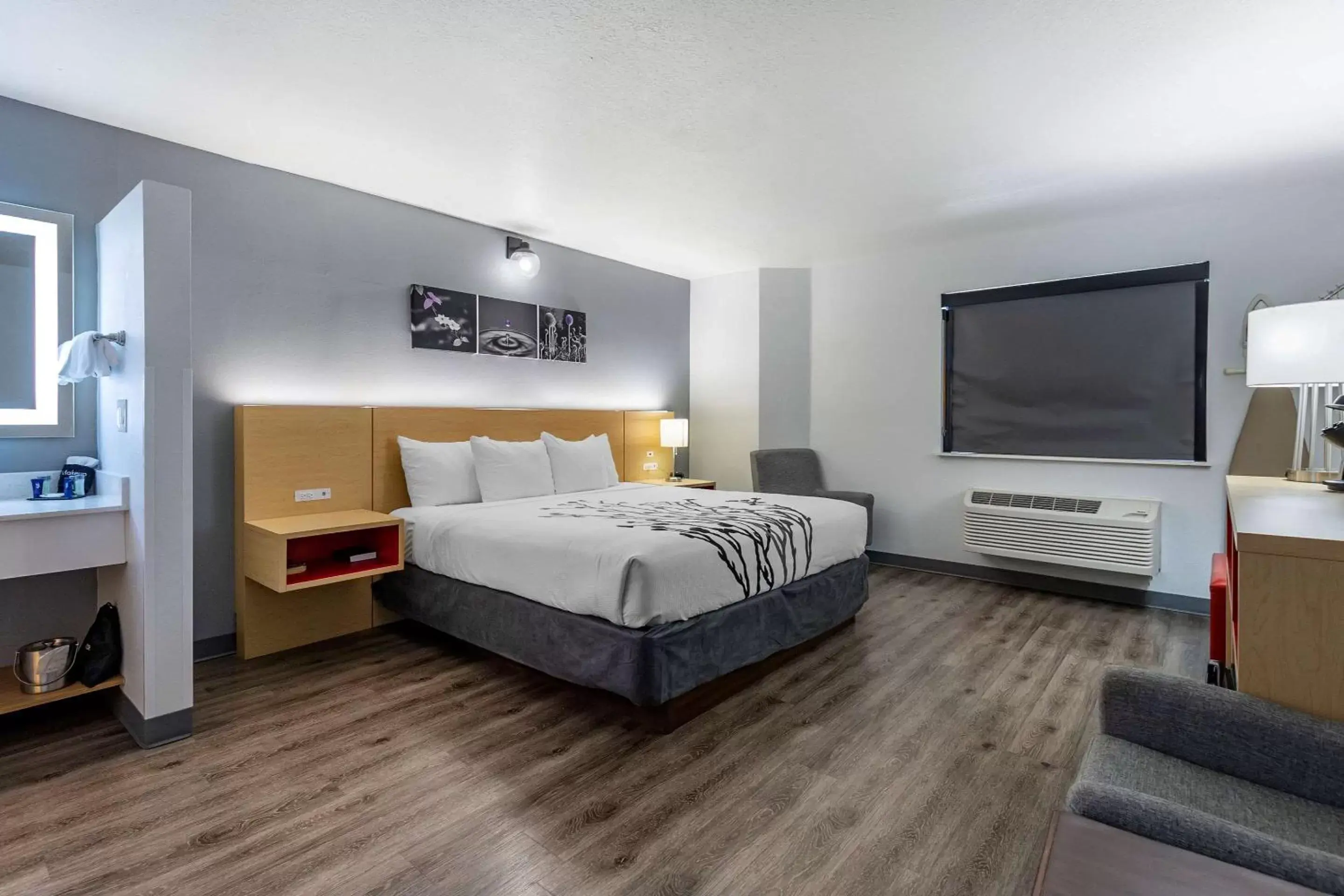 Standard King Room - Non Smoking in Sleep Inn & Suites Standard King Room - Non Smoking in Sleep Inn & Suites