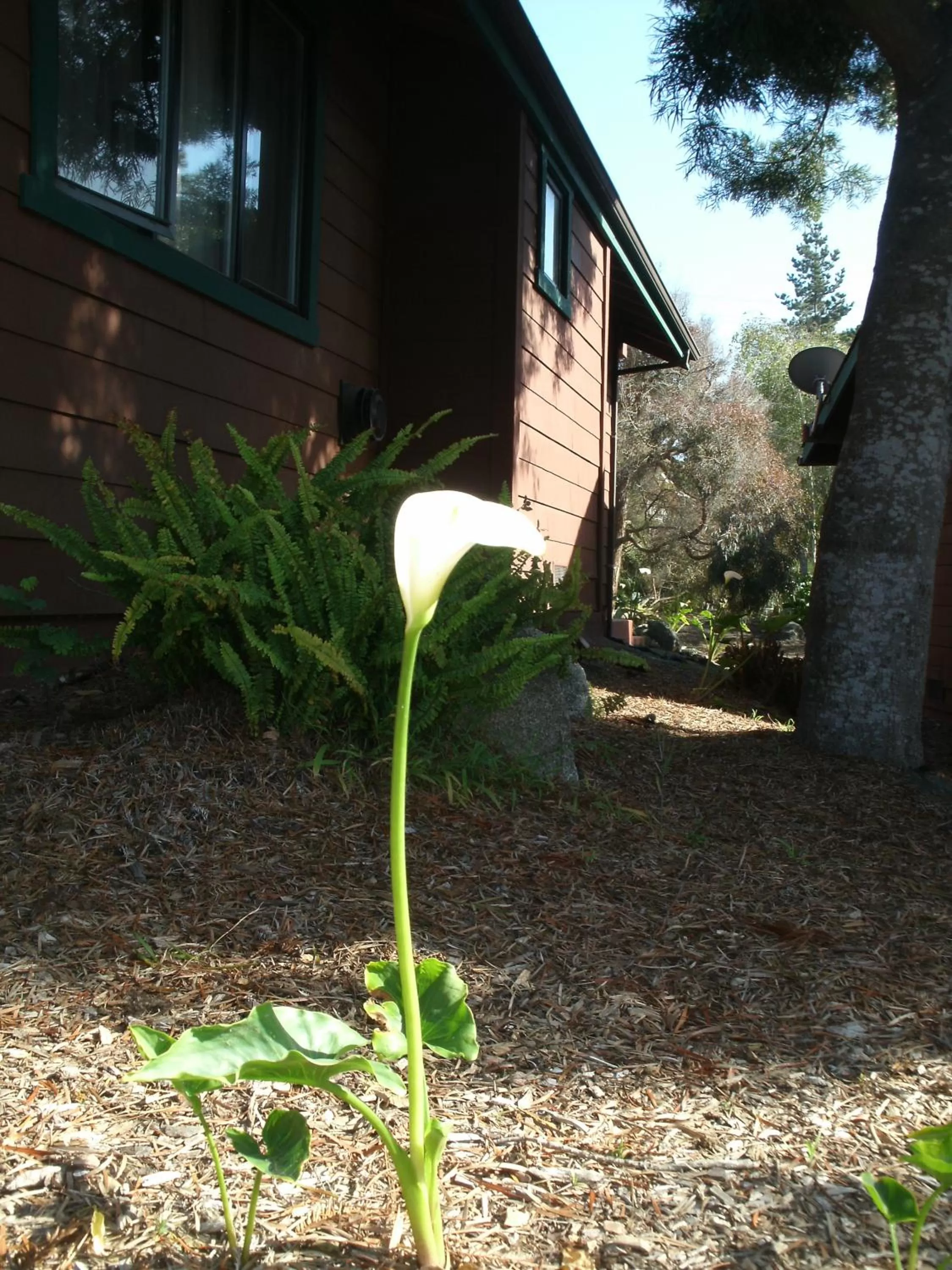 Decorative detail in Rosedale Inn