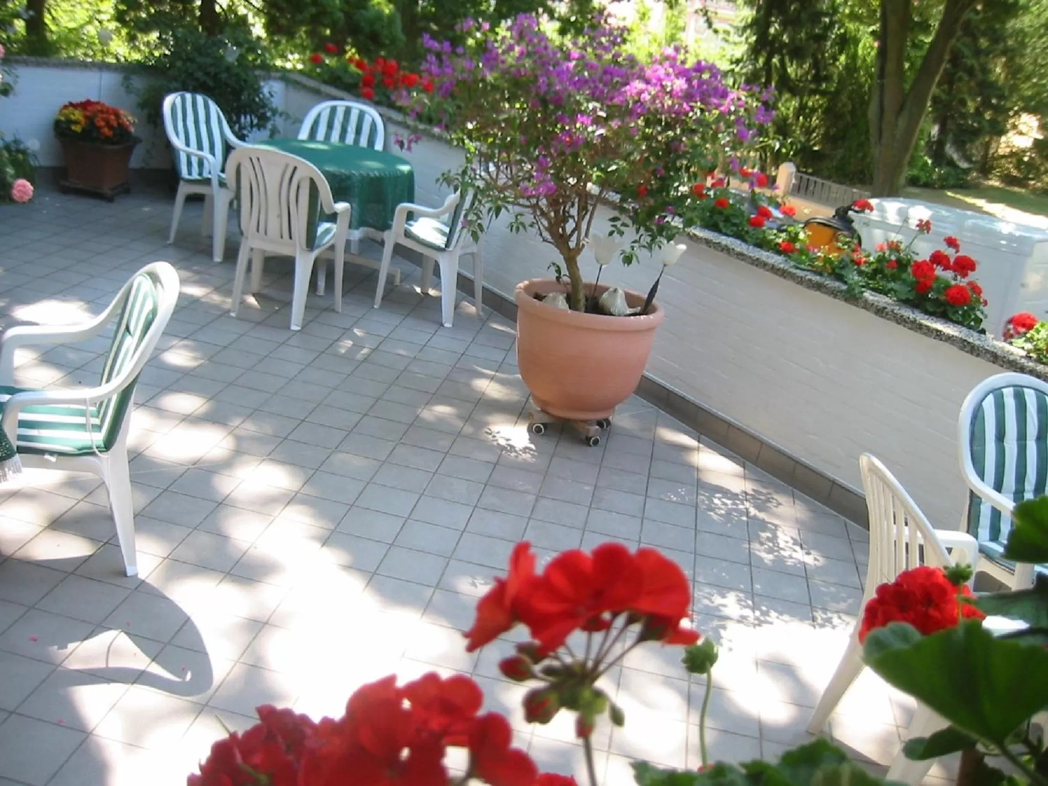 Balcony/Terrace in Pension Thiel