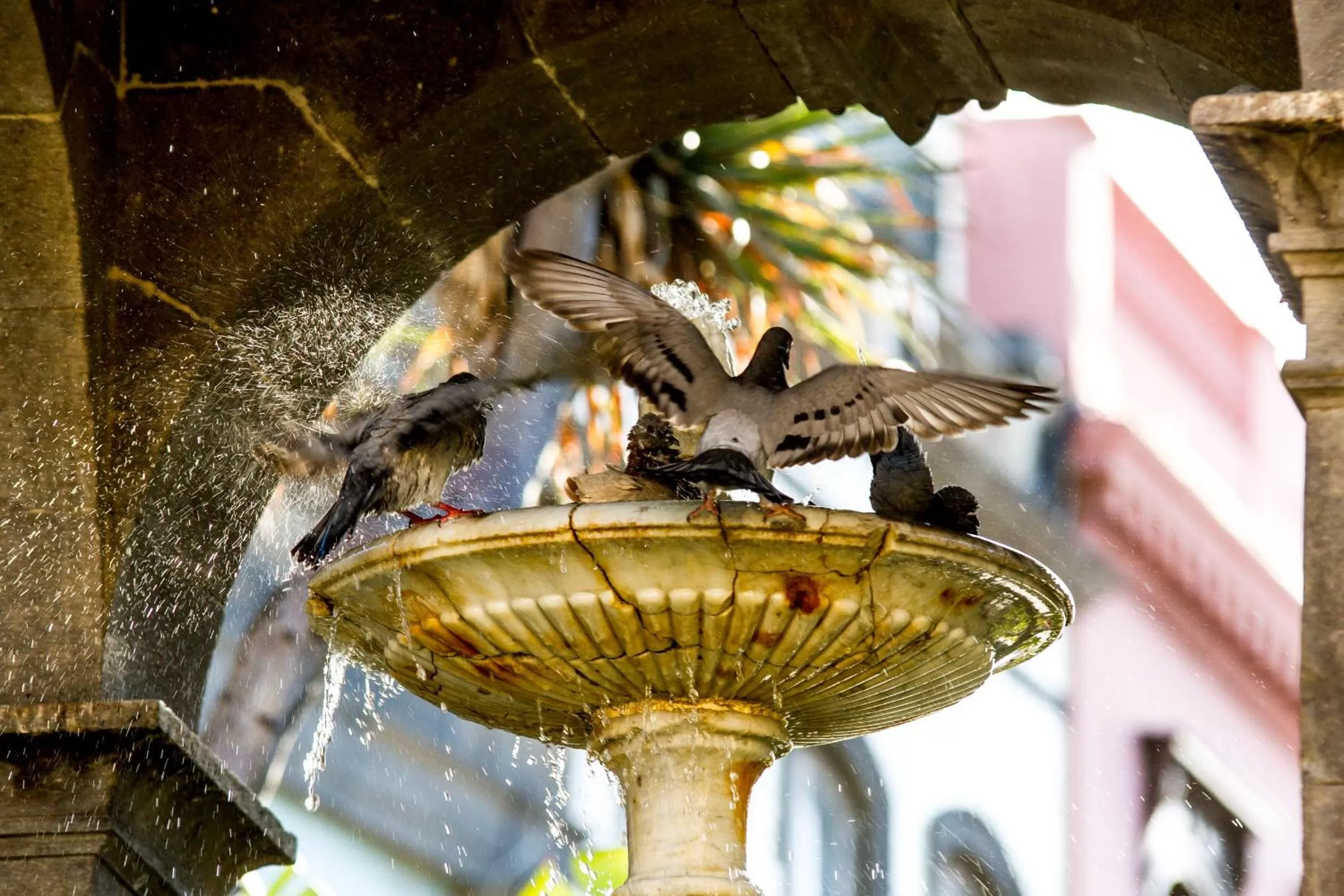 Nearby landmark in Aminta Home