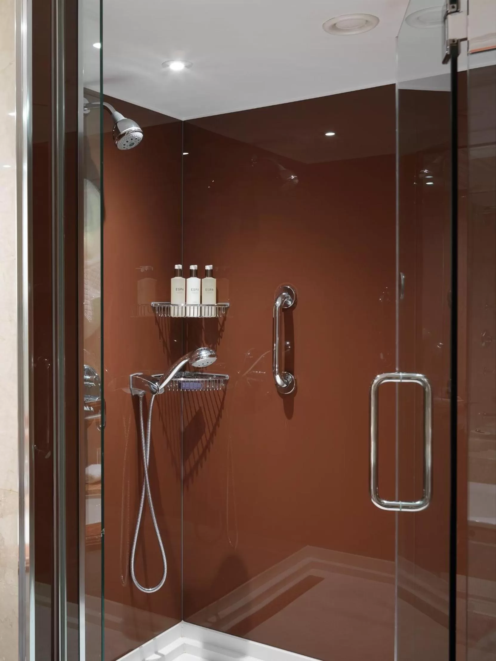 Shower in The Athenaeum Hotel & Residences